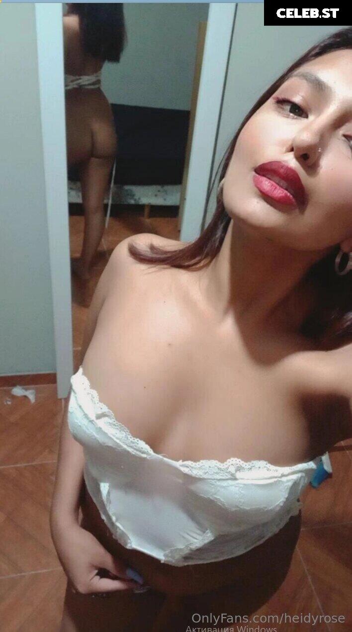 heidyrose Image 15687031