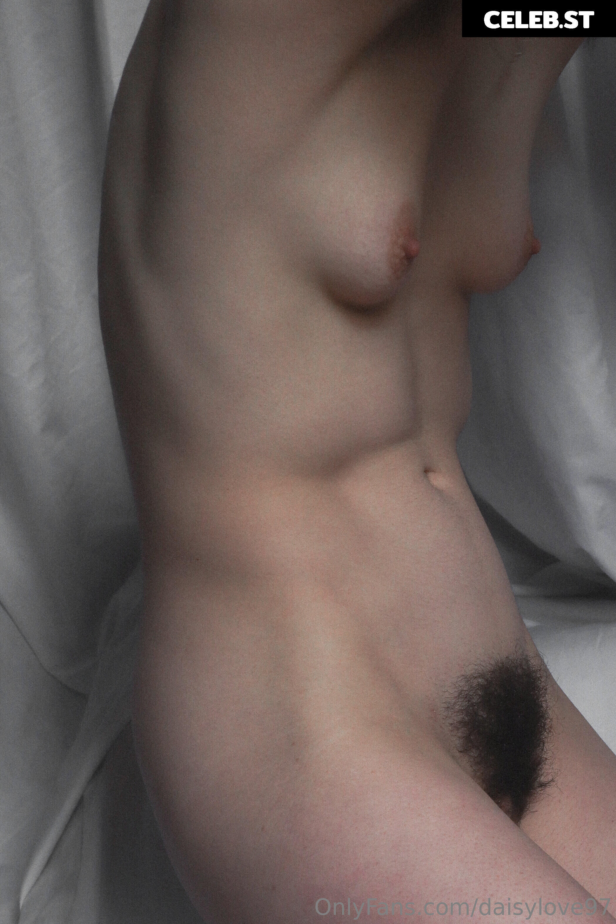 Daisy Love Image 155140