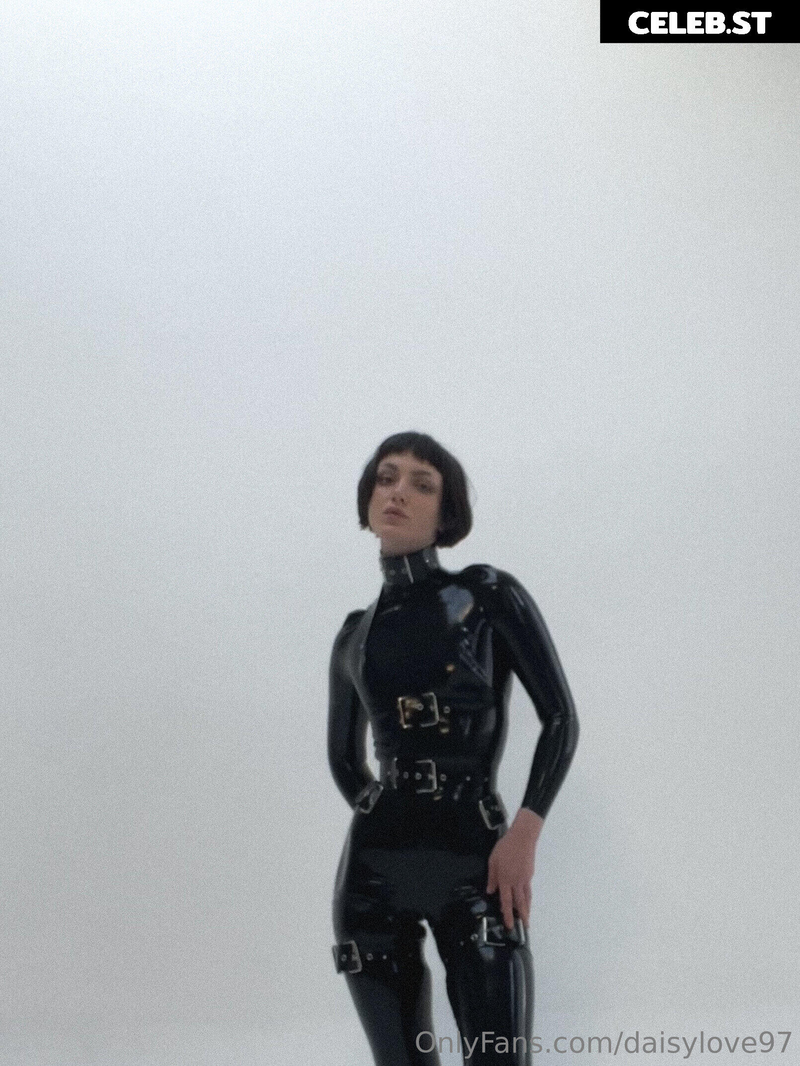 Daisy Love Image 155863