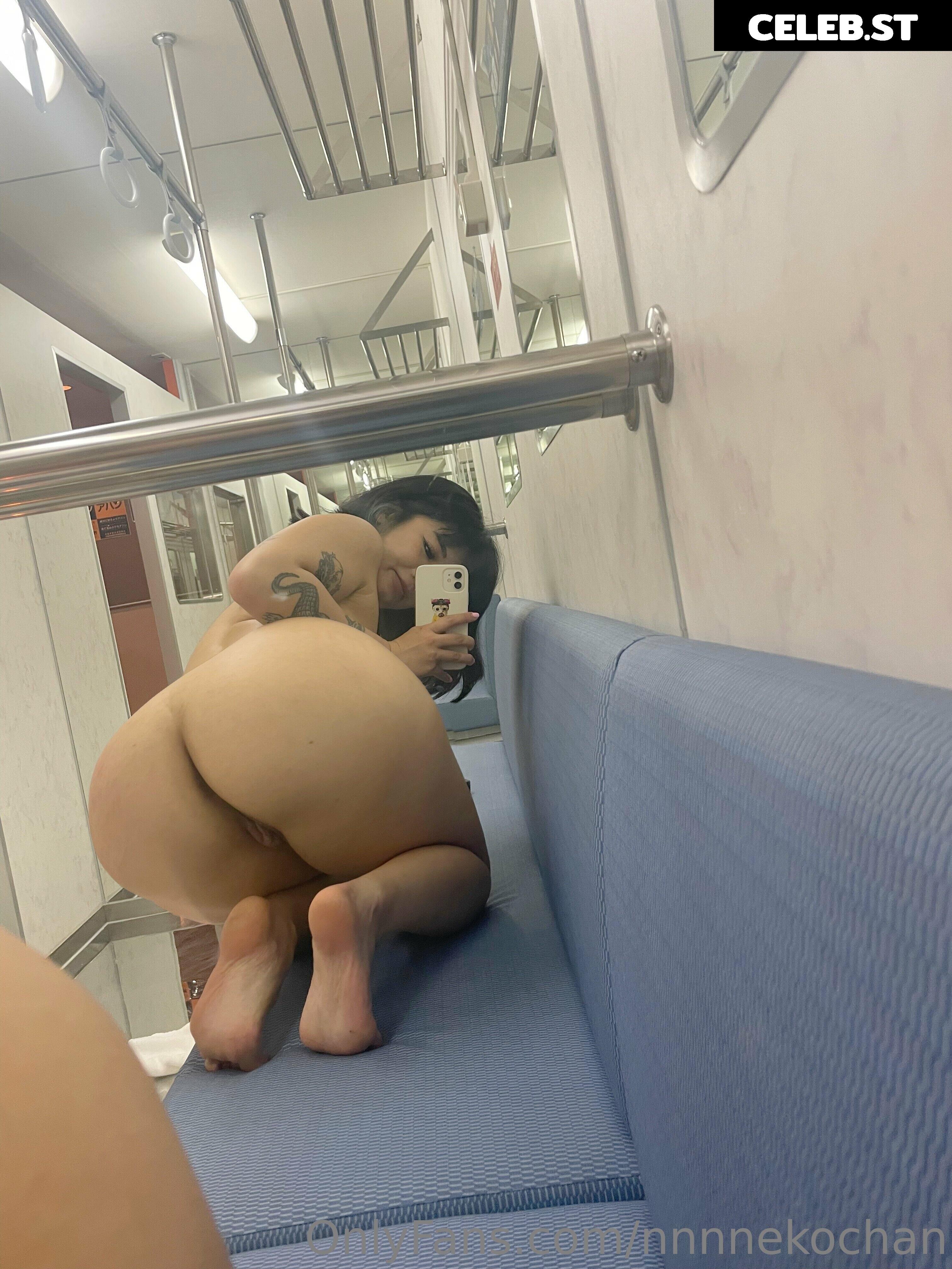 nnnnekochan Image 152743