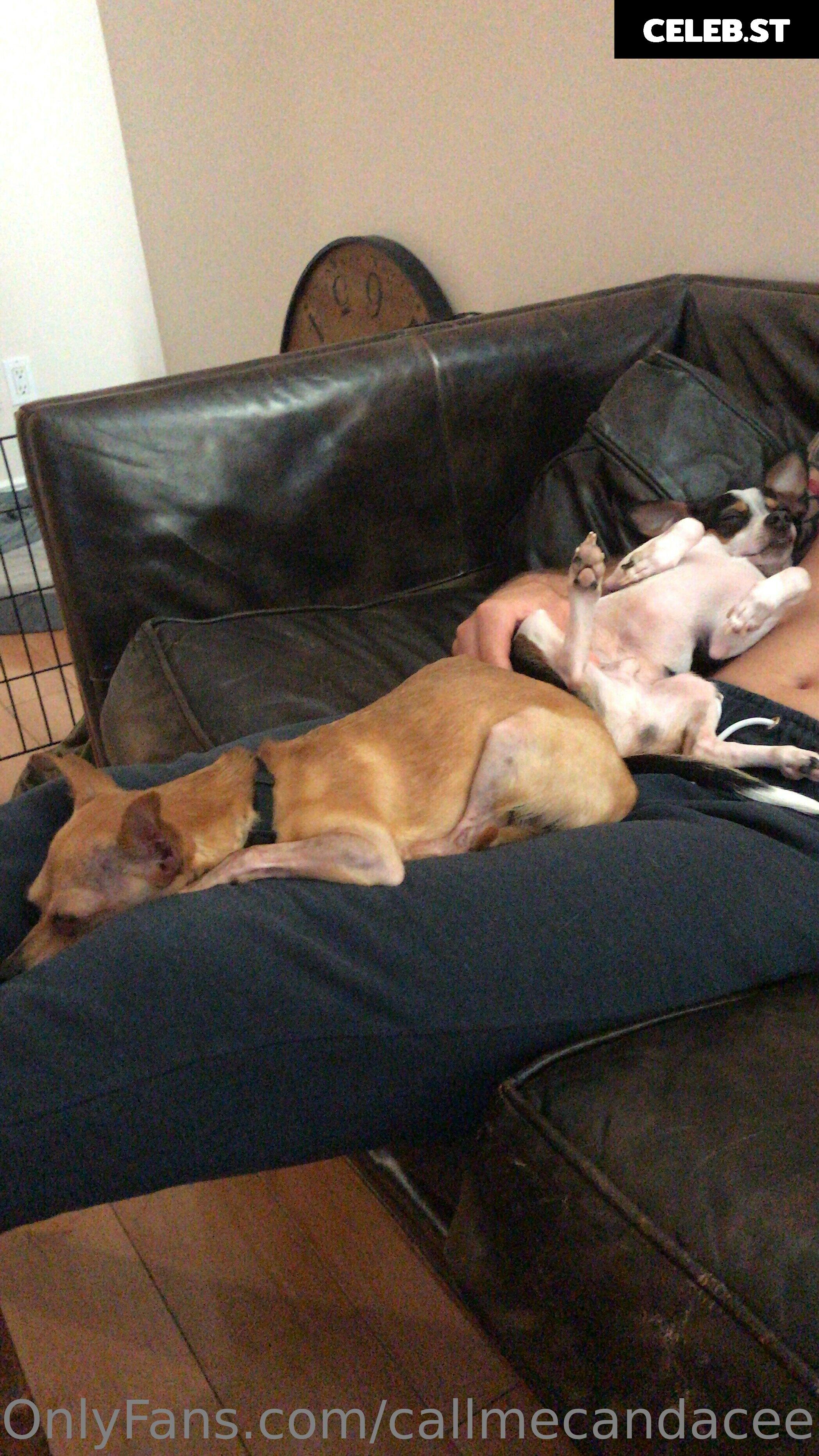 callmecandacee Image 15127219