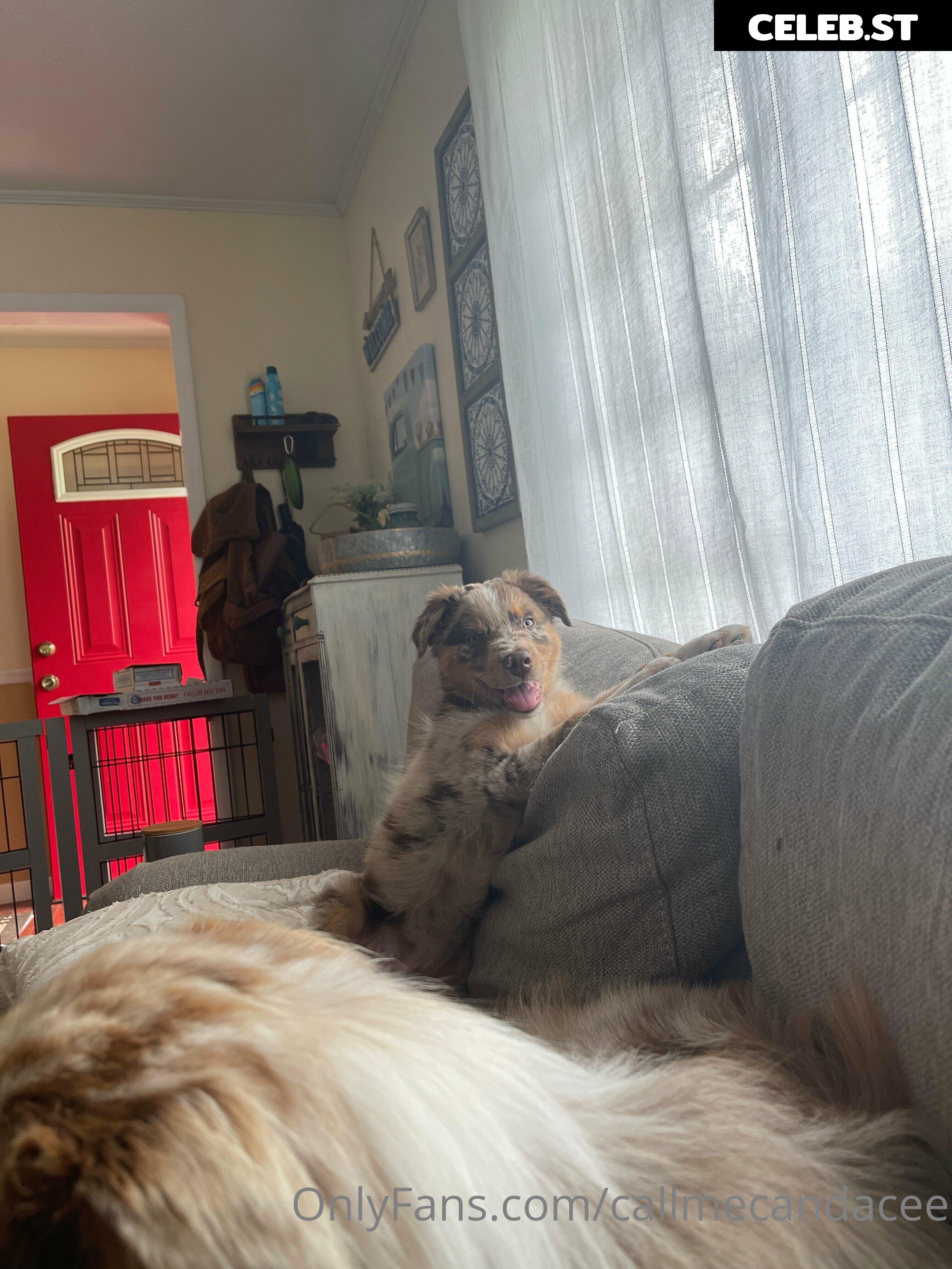 callmecandacee Image 15129538
