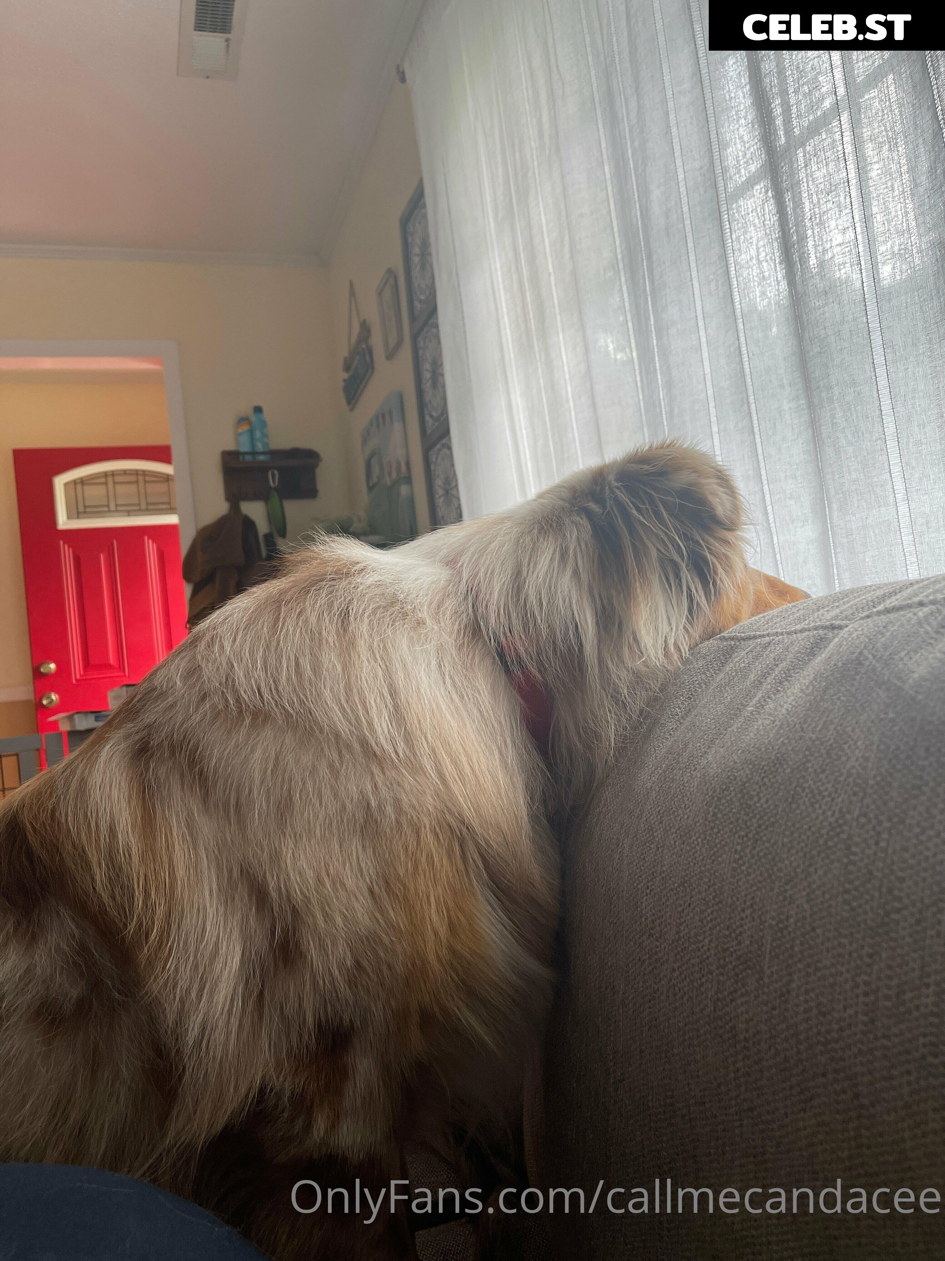 callmecandacee Image 15129545