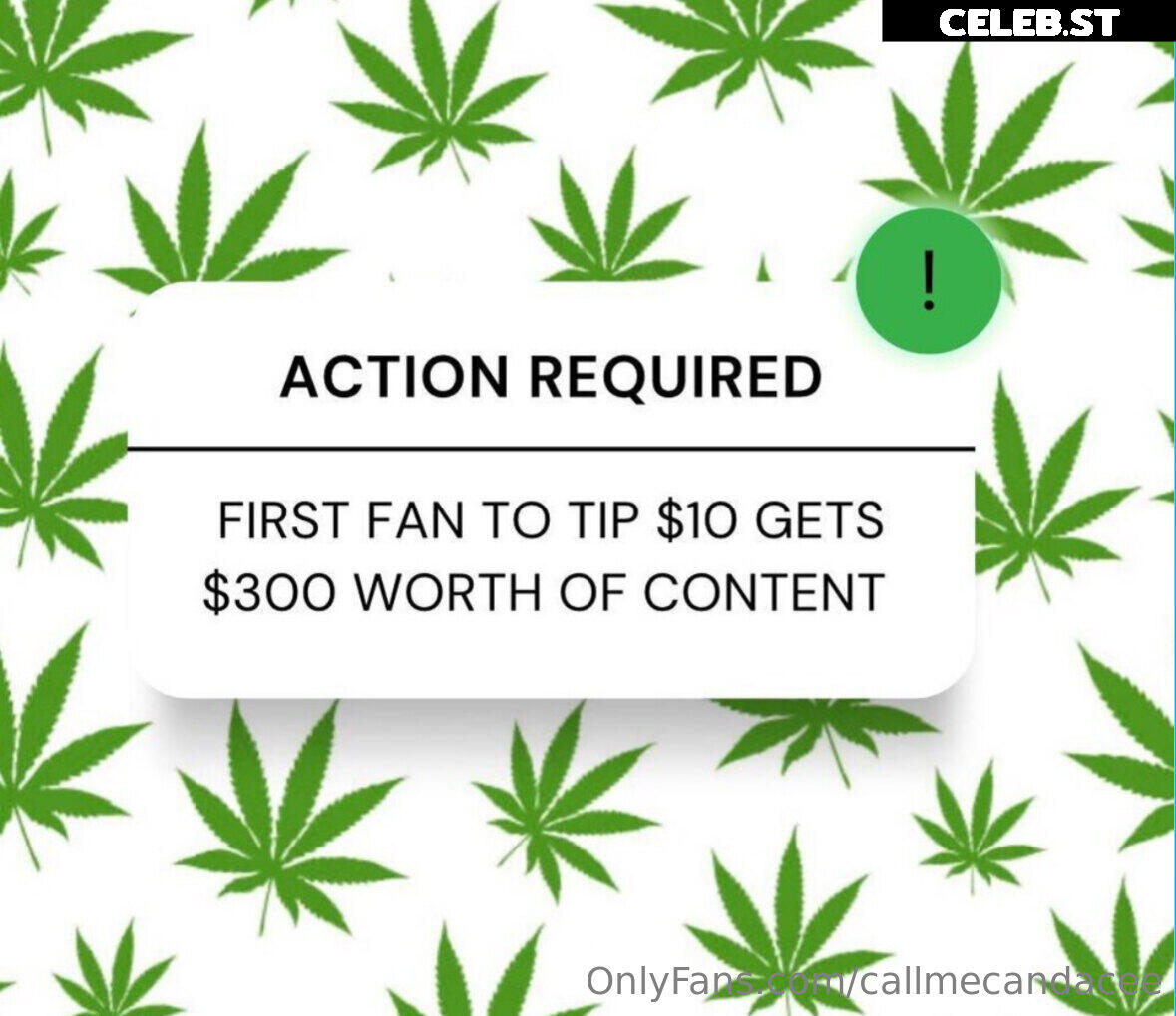 callmecandacee Image 15098087