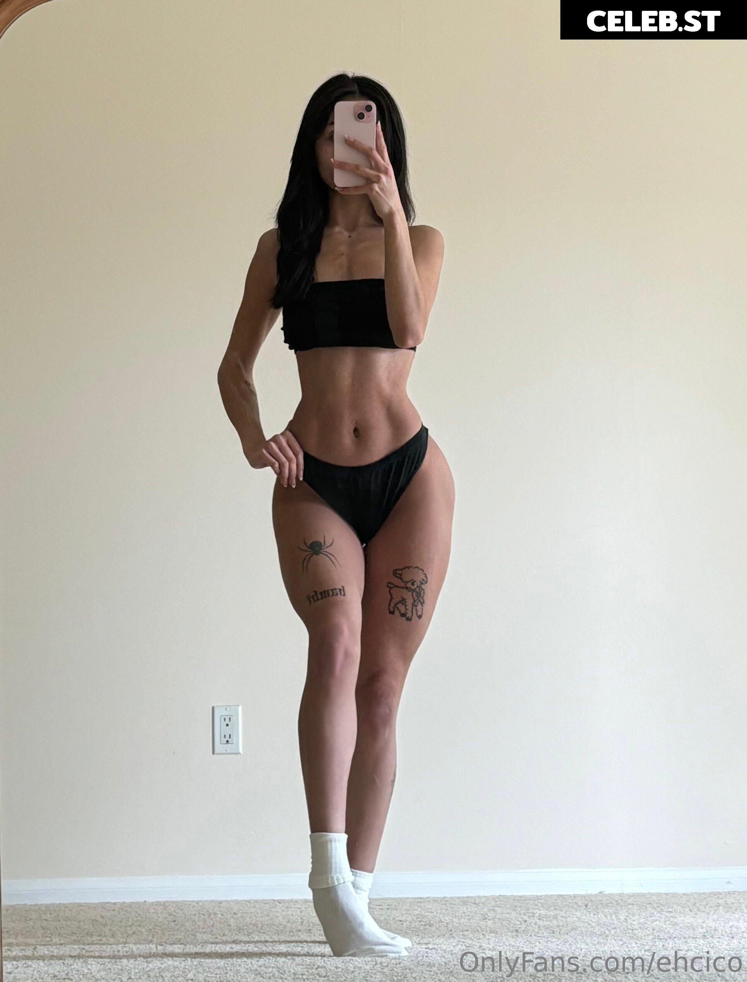 cicofox Image 16773504