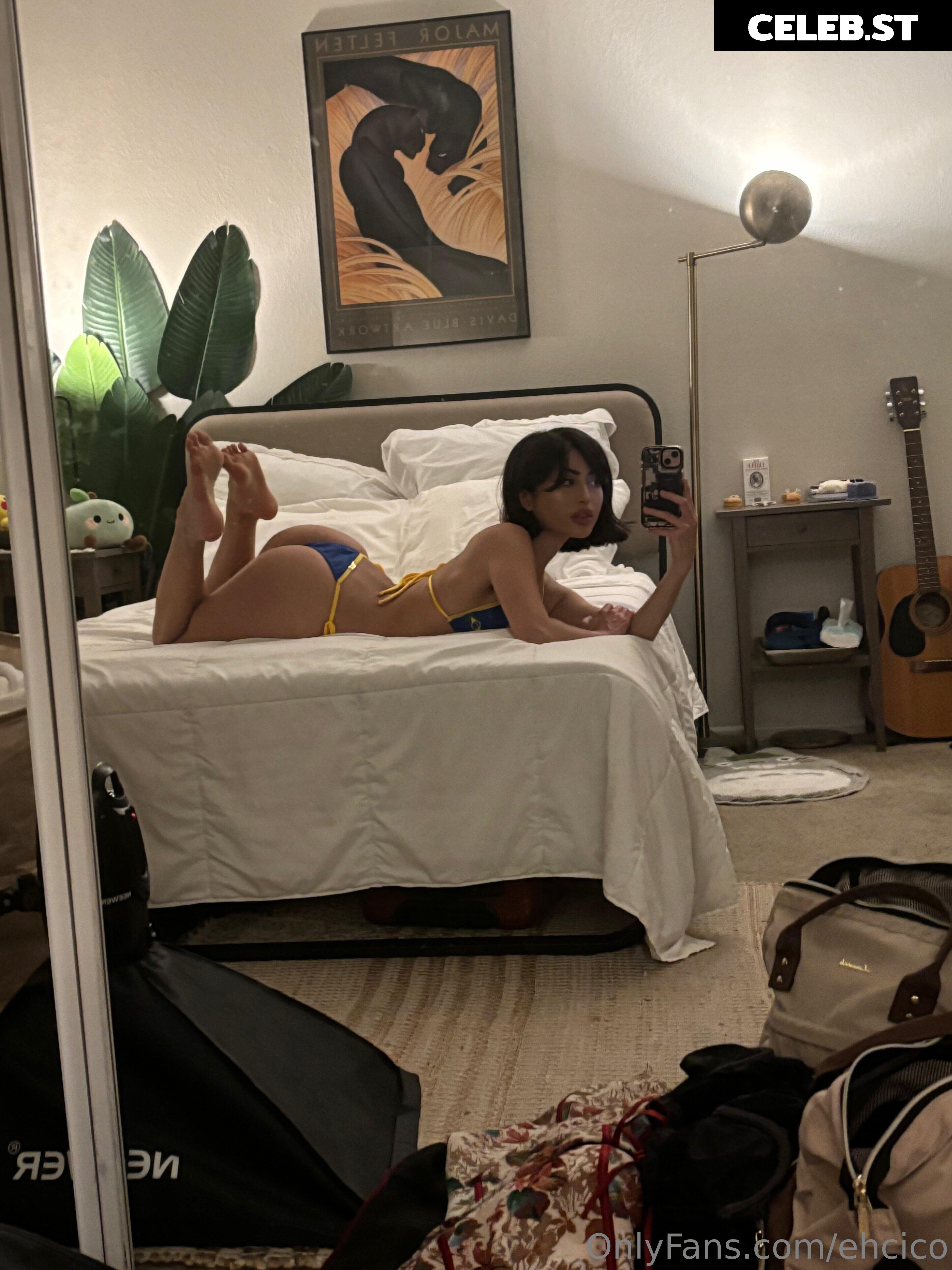 cicofox Image 16772328