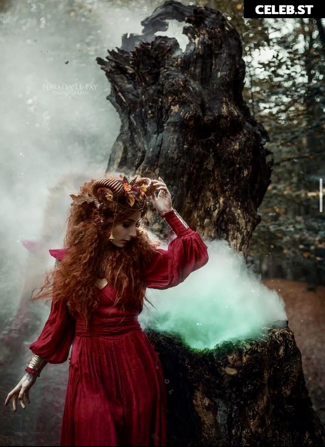 Kupferfuchs Image 1665985