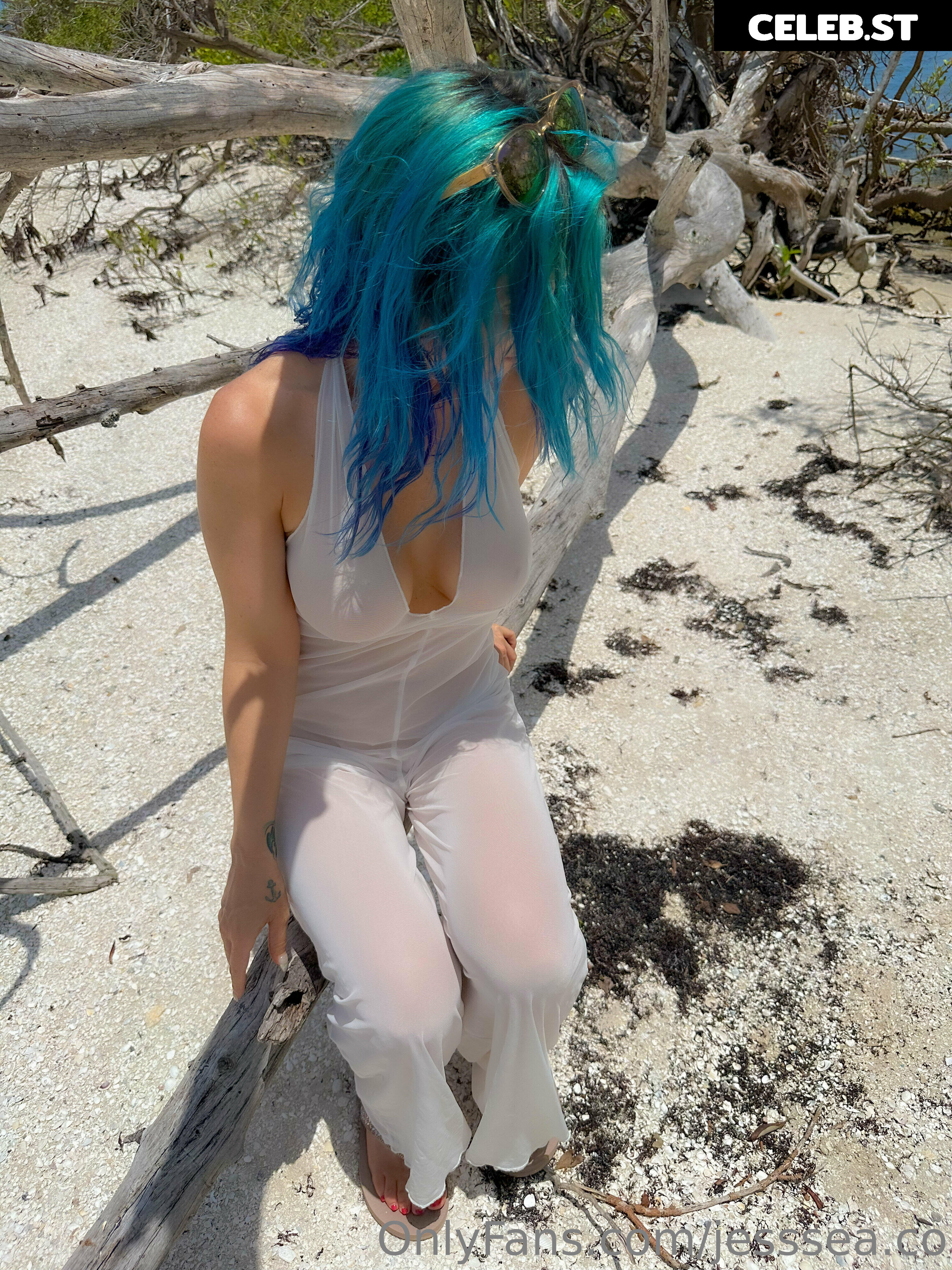 jesssea.co Image 16639619