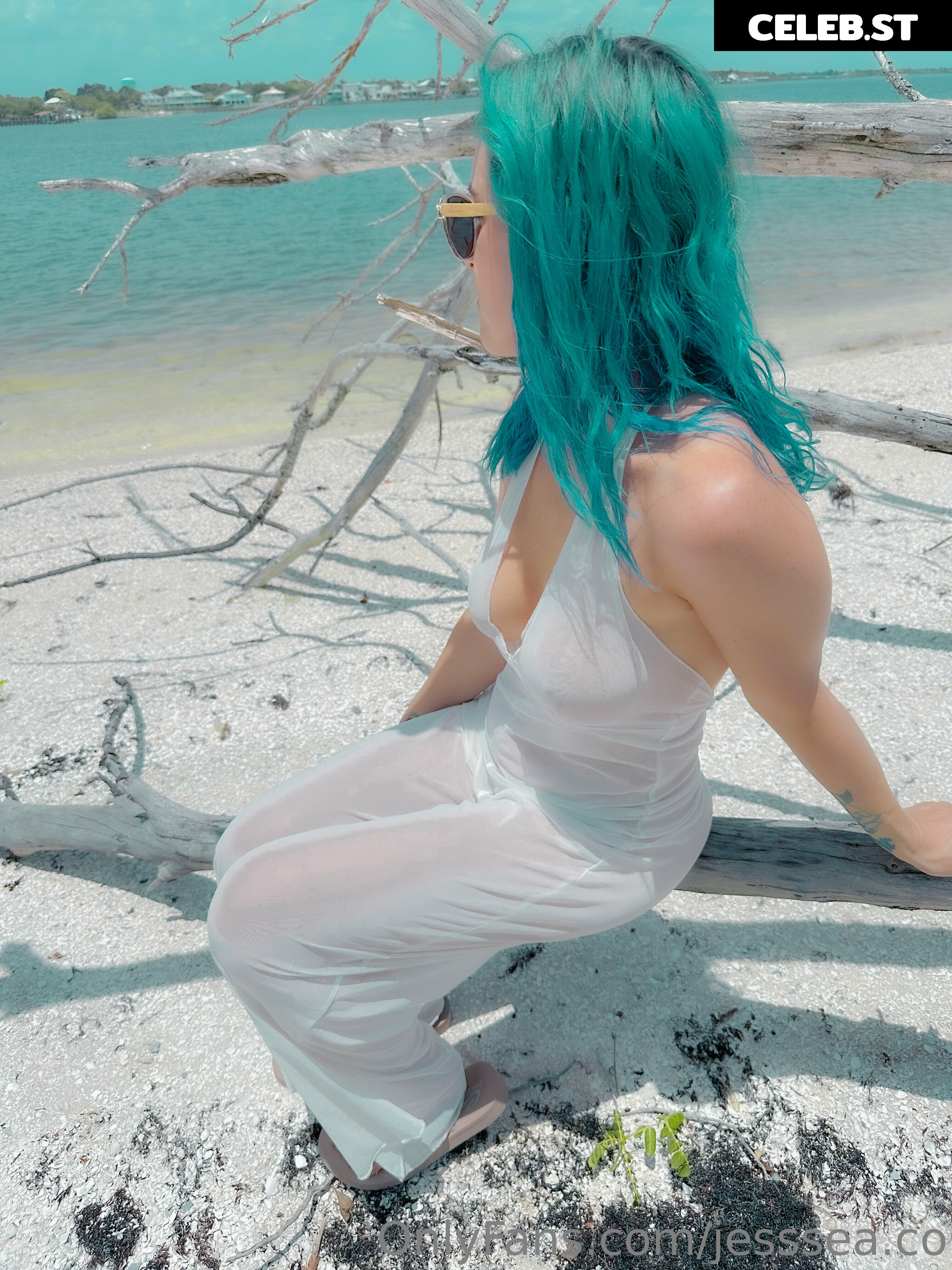 jesssea.co Image 16639311