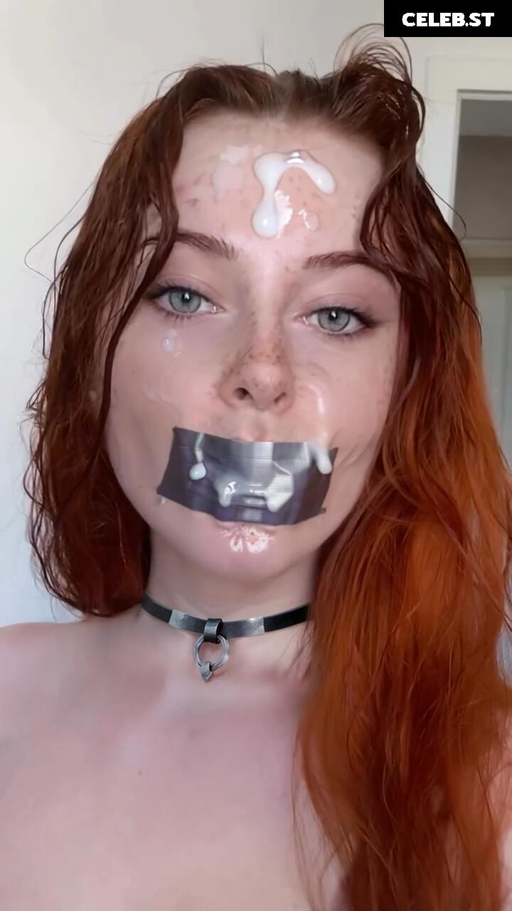 KDRKitten Image 1647057