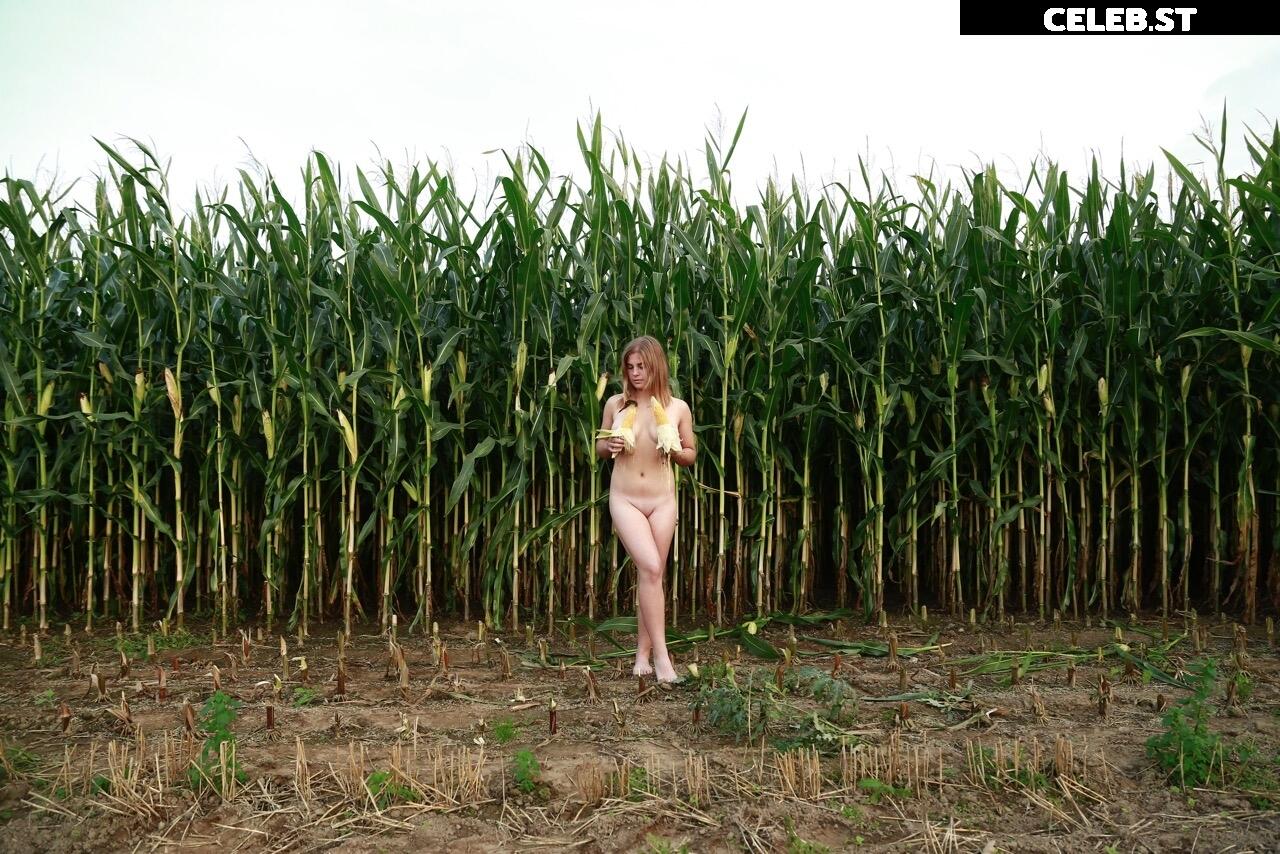Dairy lena Image 1635811