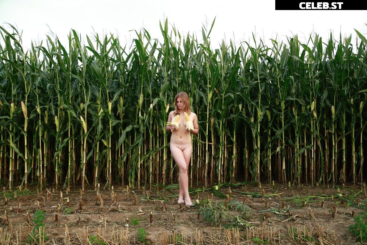 Dairy lena Image 1635724