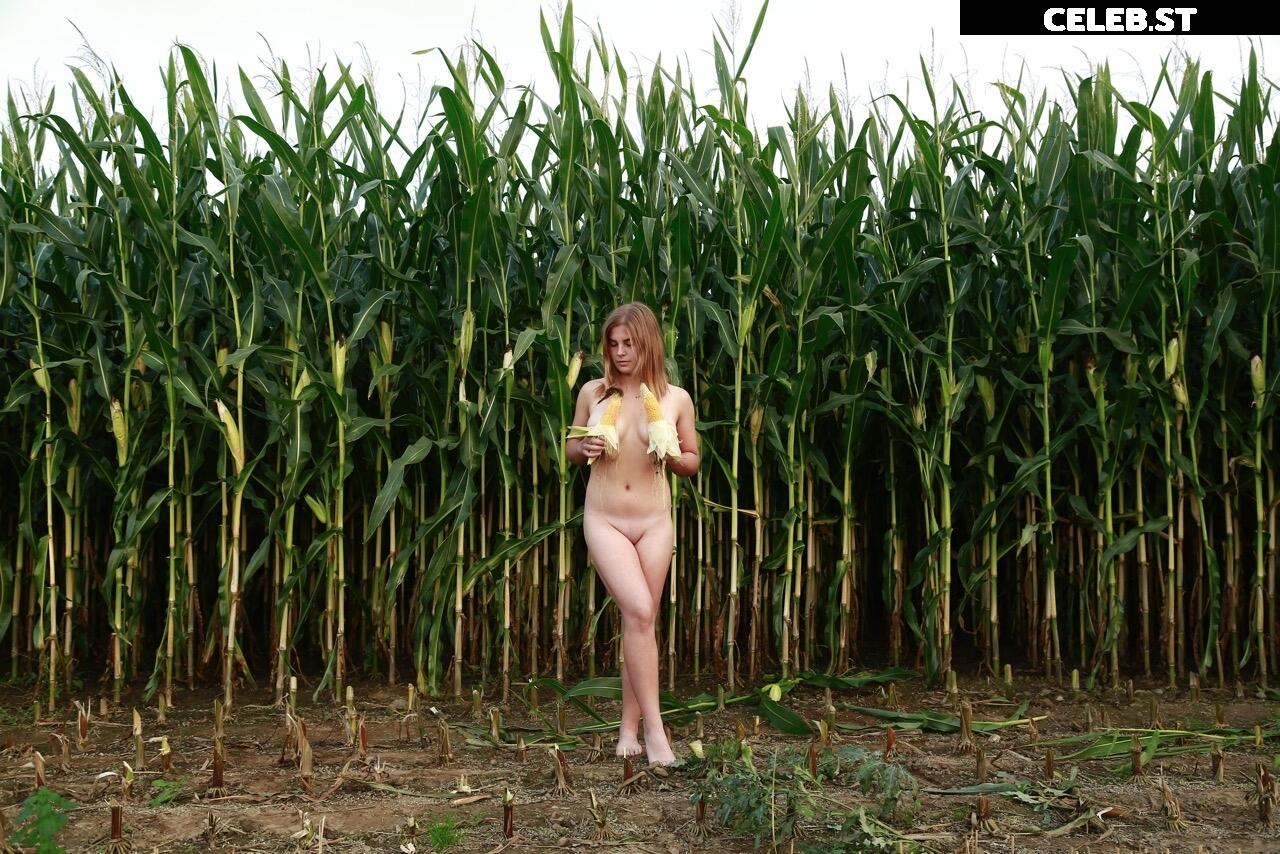 Dairy lena Image 1635666