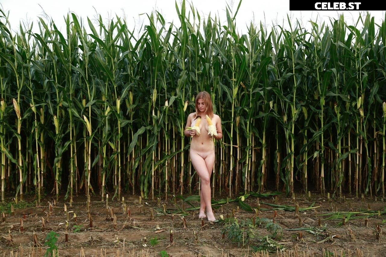 Dairy lena Image 1635942