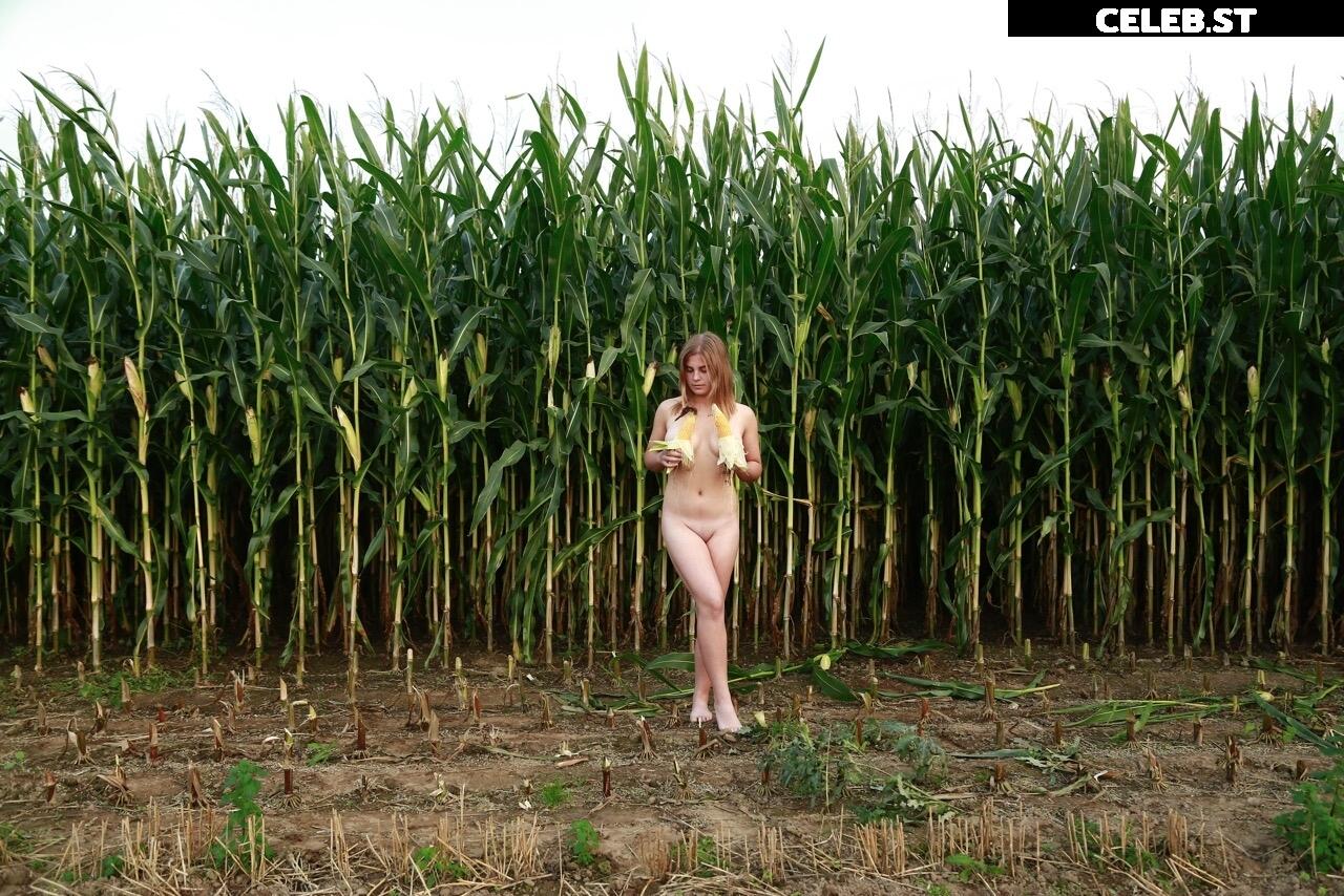 Dairy lena Image 1635923