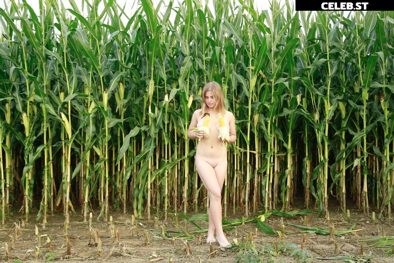 Dairy lena Image 1637533