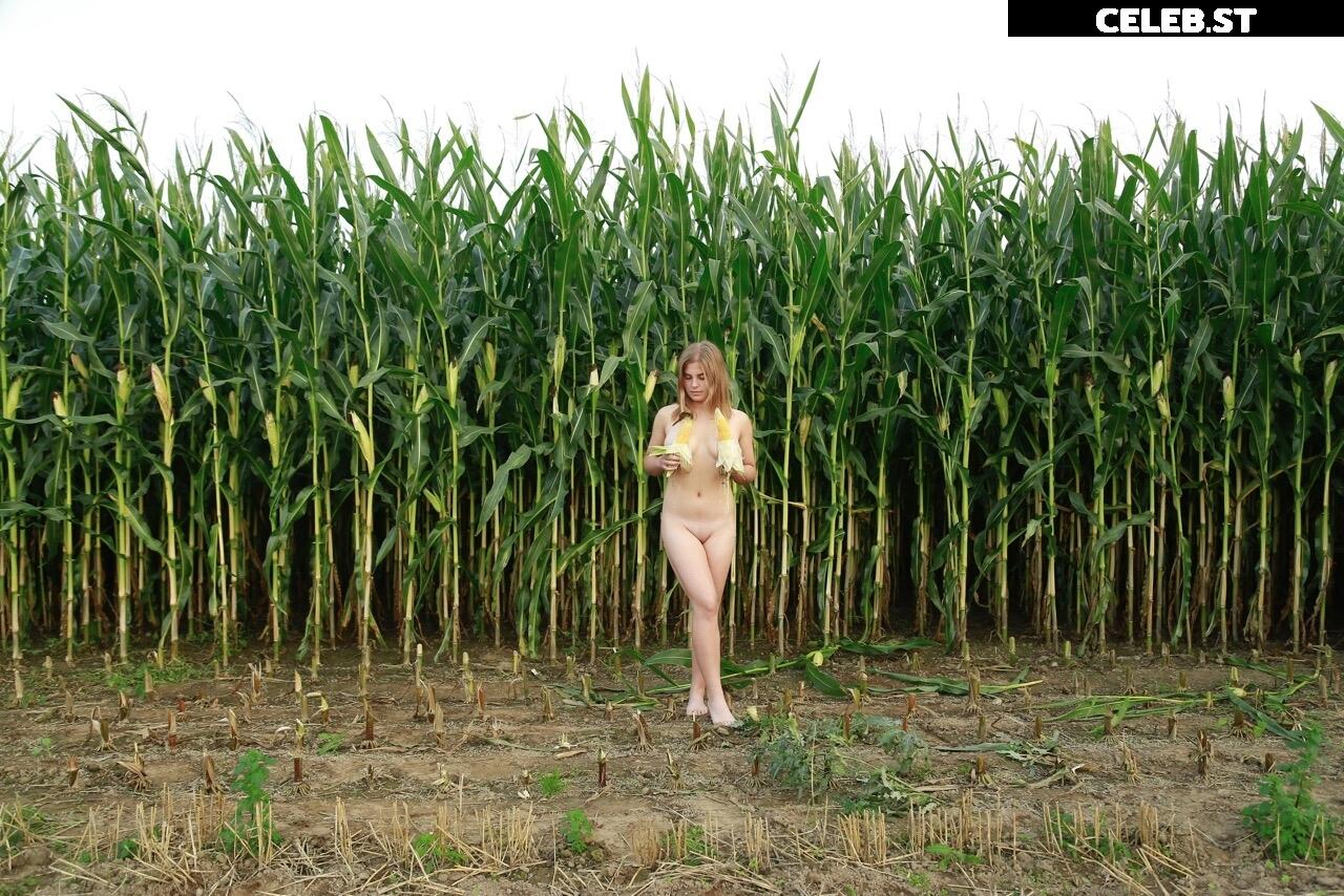 Dairy lena Image 1637490