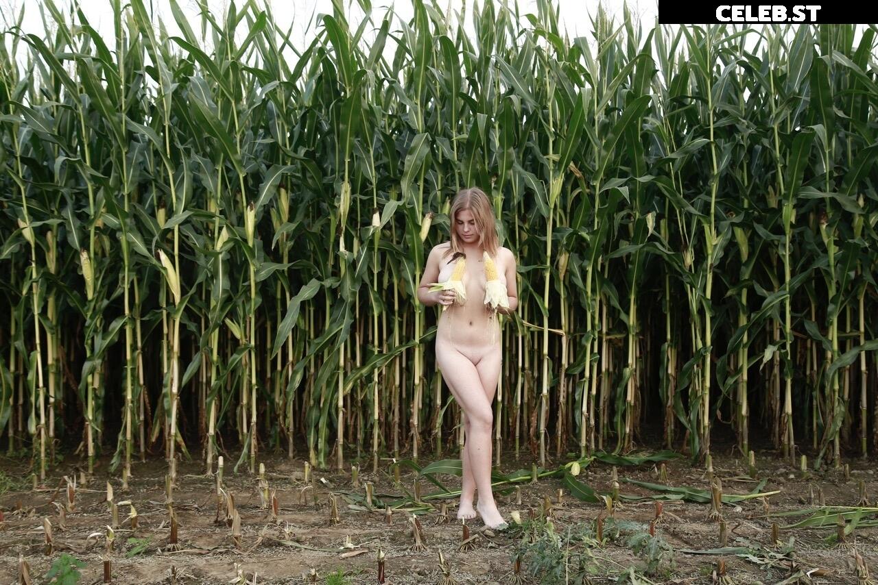 Dairy lena Image 1637447