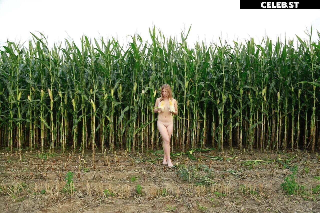 Dairy lena Image 1637407