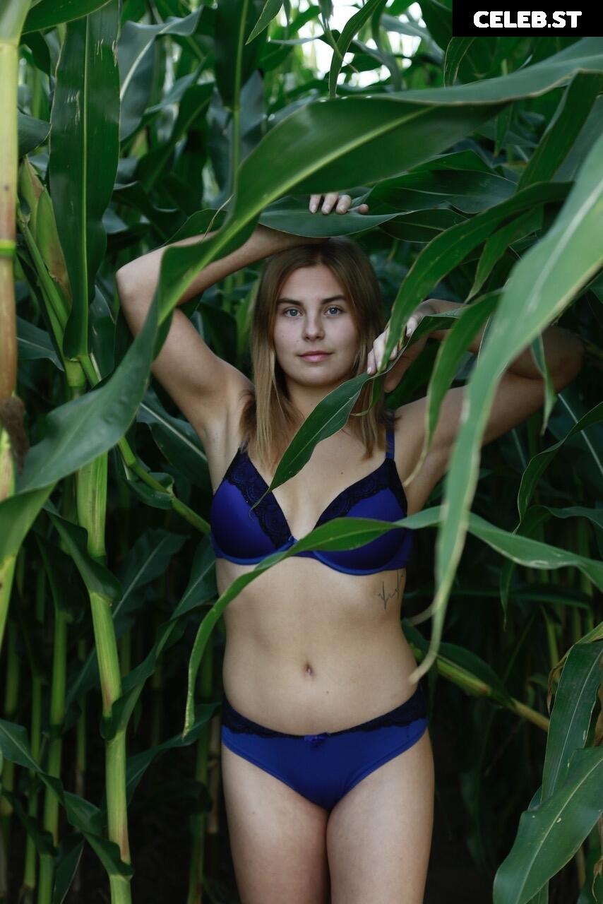 Dairy lena Image 1637156