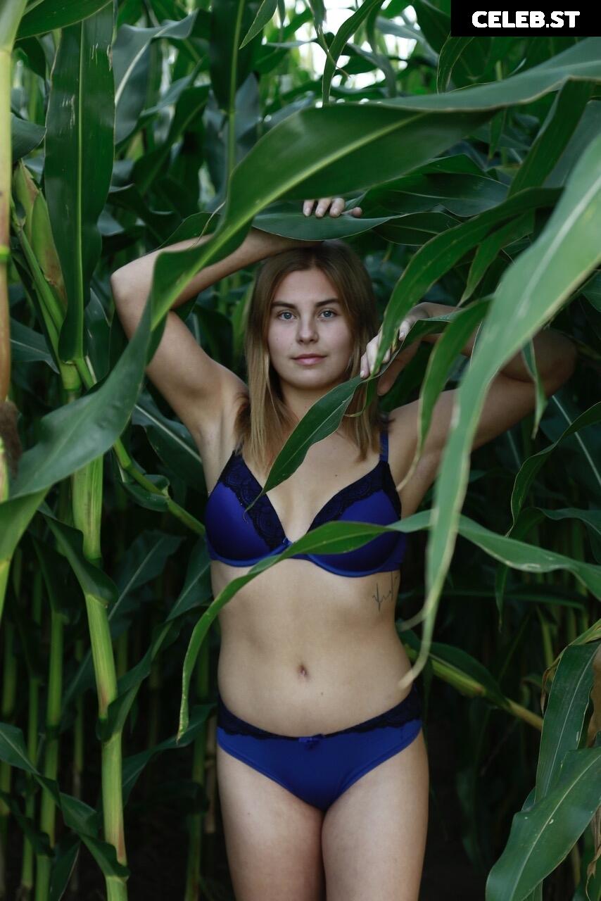 Dairy lena Image 1637302