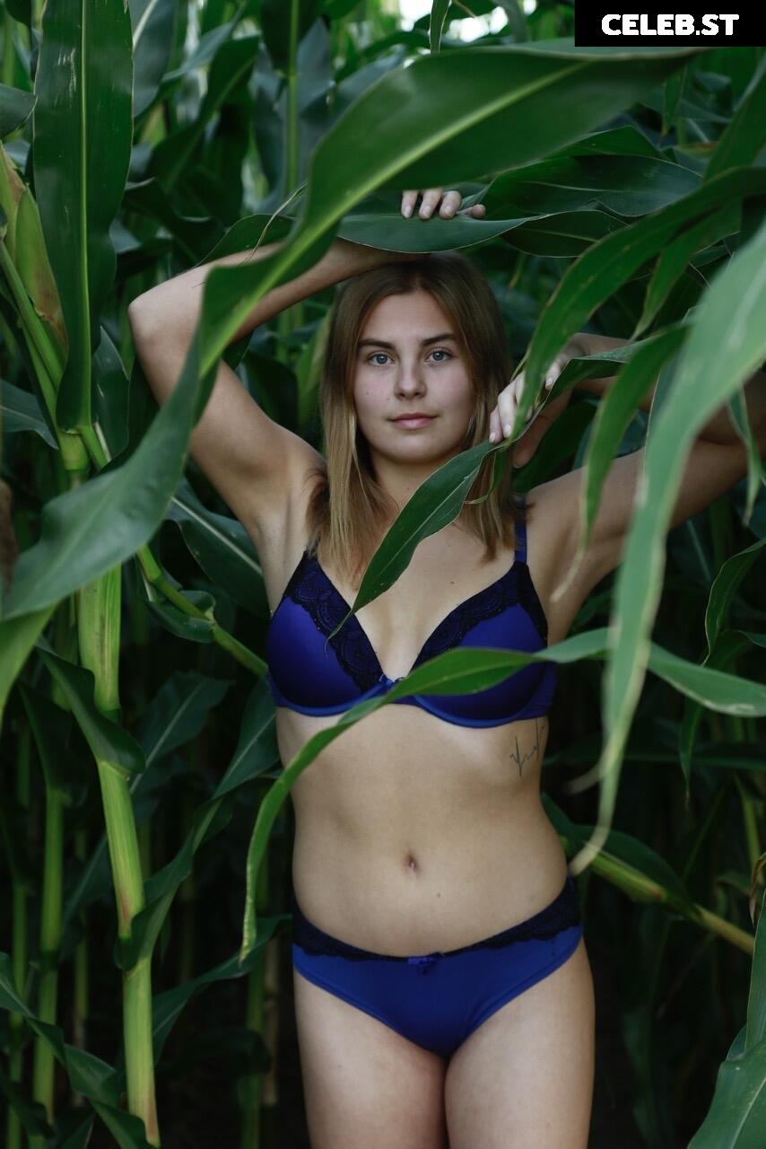 Dairy lena Image 1637244