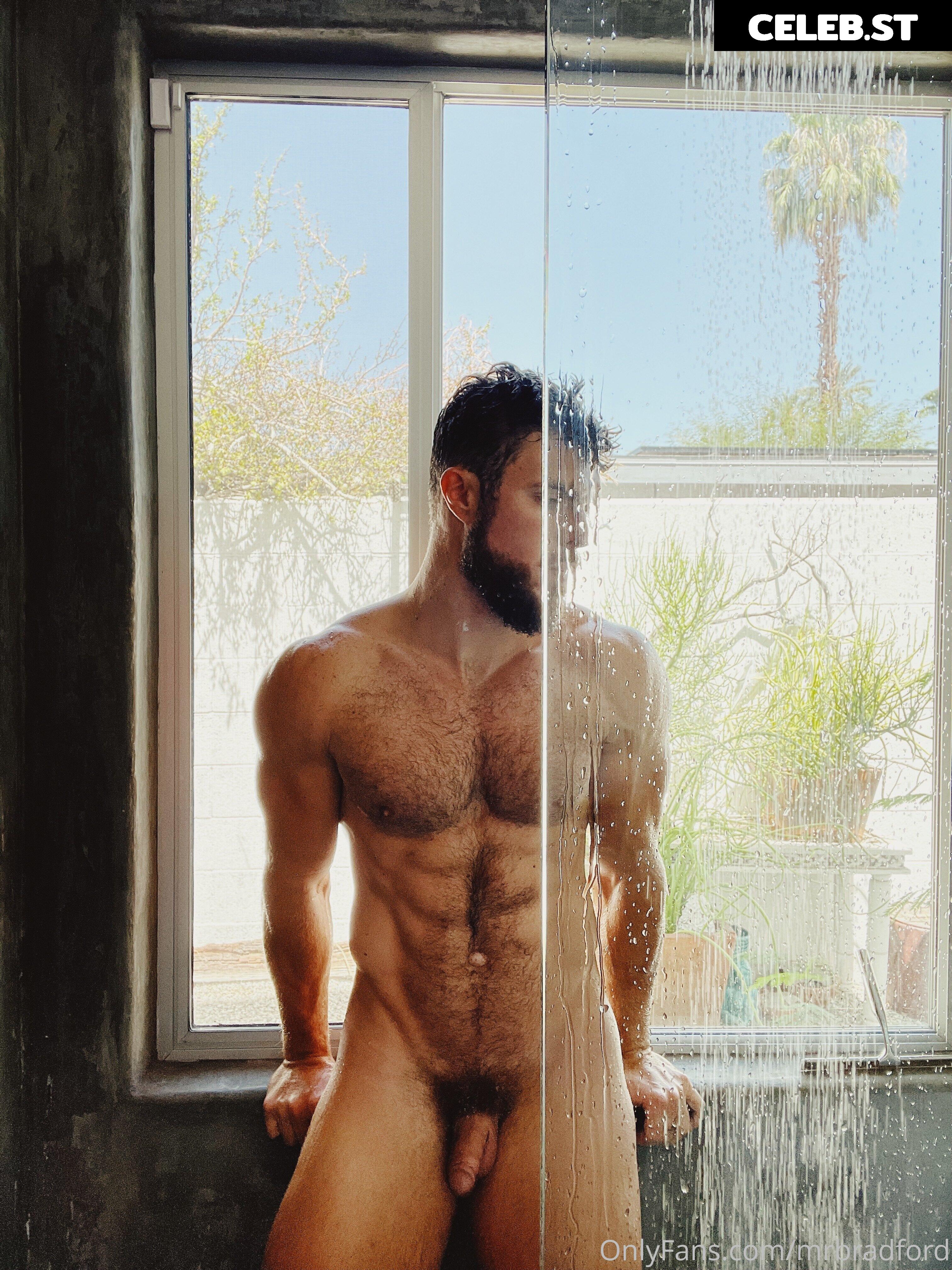 mrbradford Image 16258917