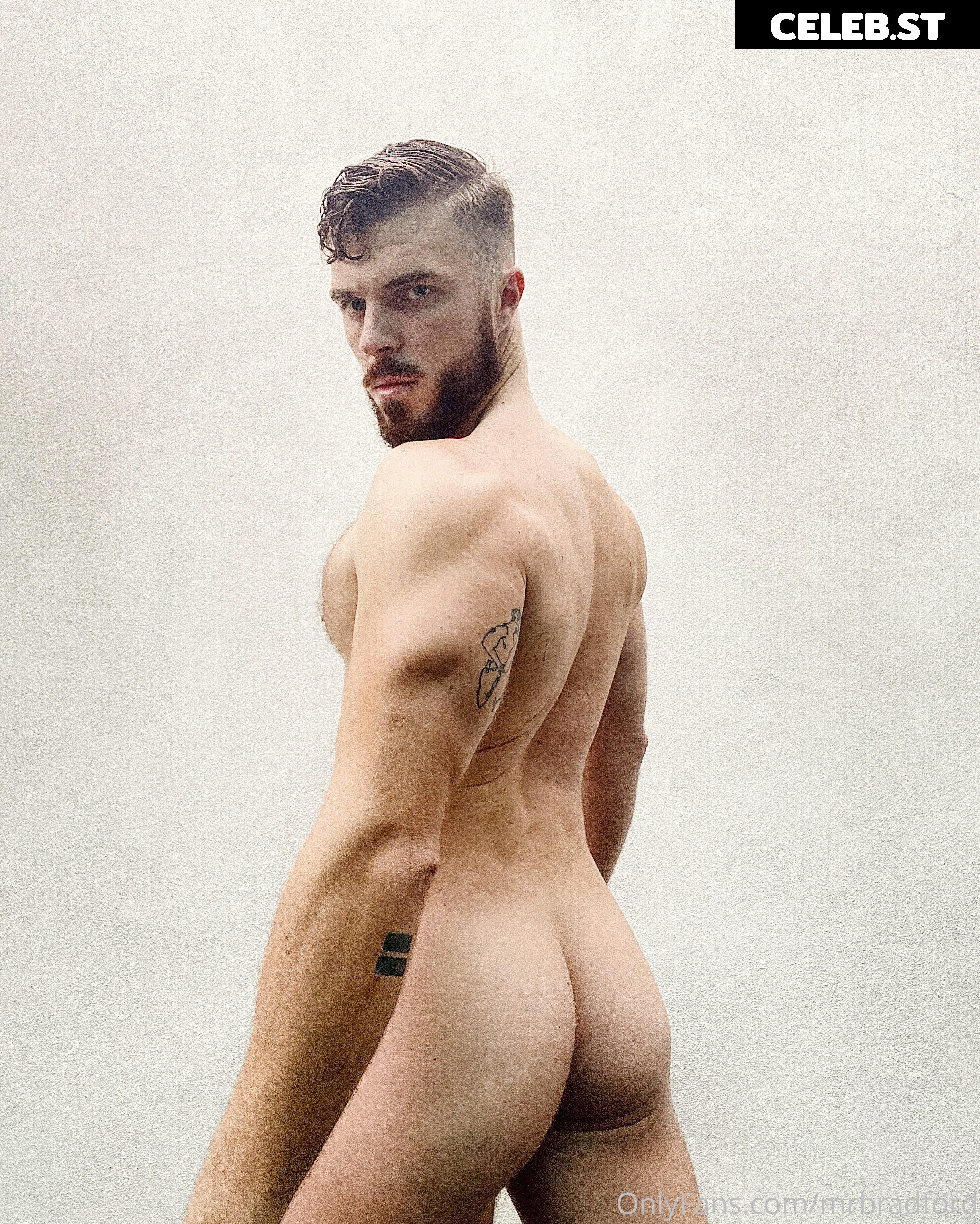 mrbradford Image 16258846