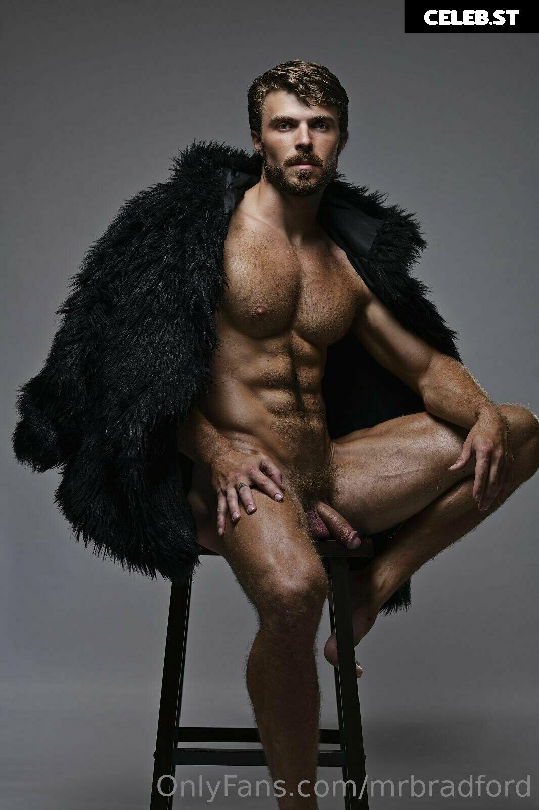 mrbradford Image 16256829