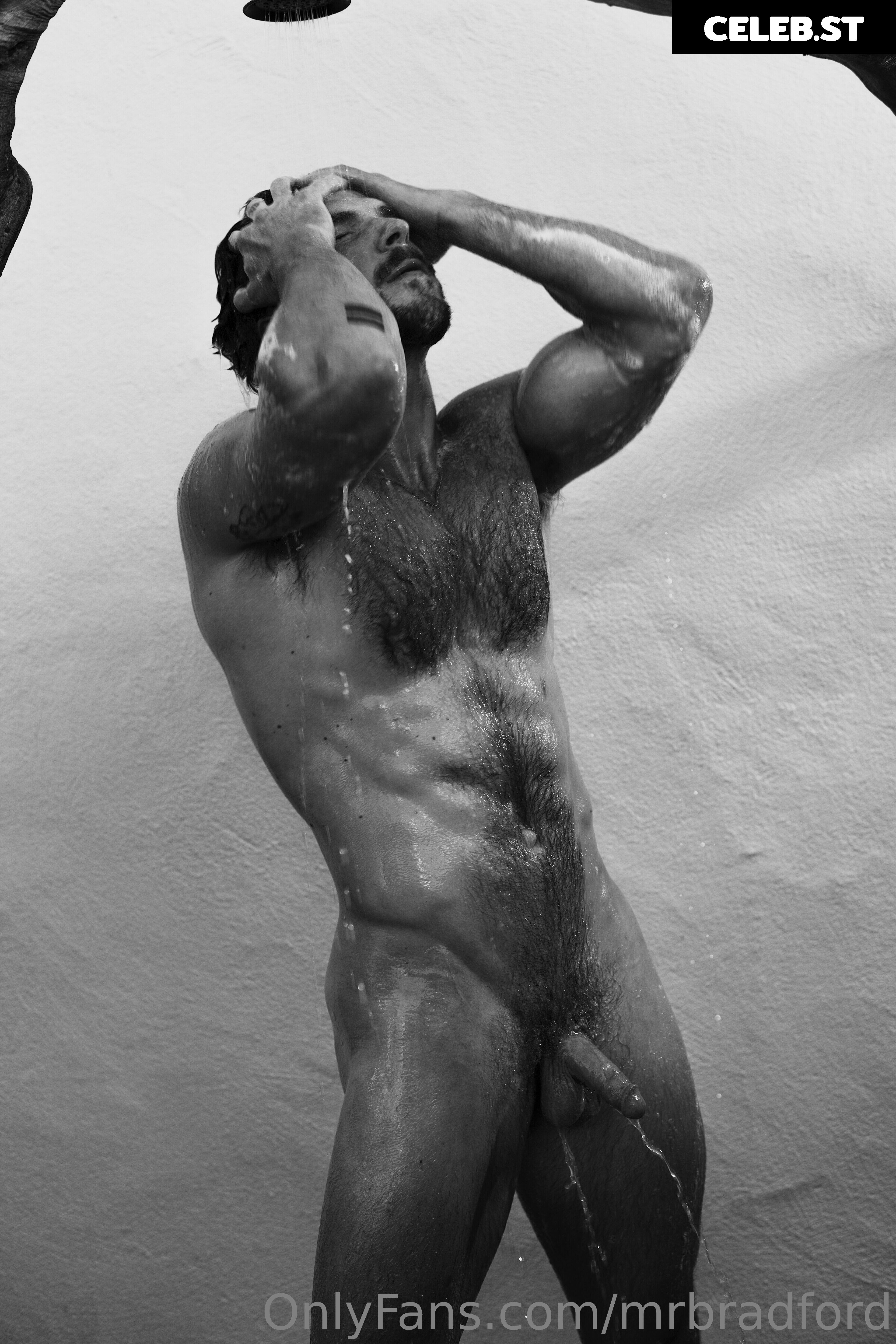 mrbradford Image 16256663