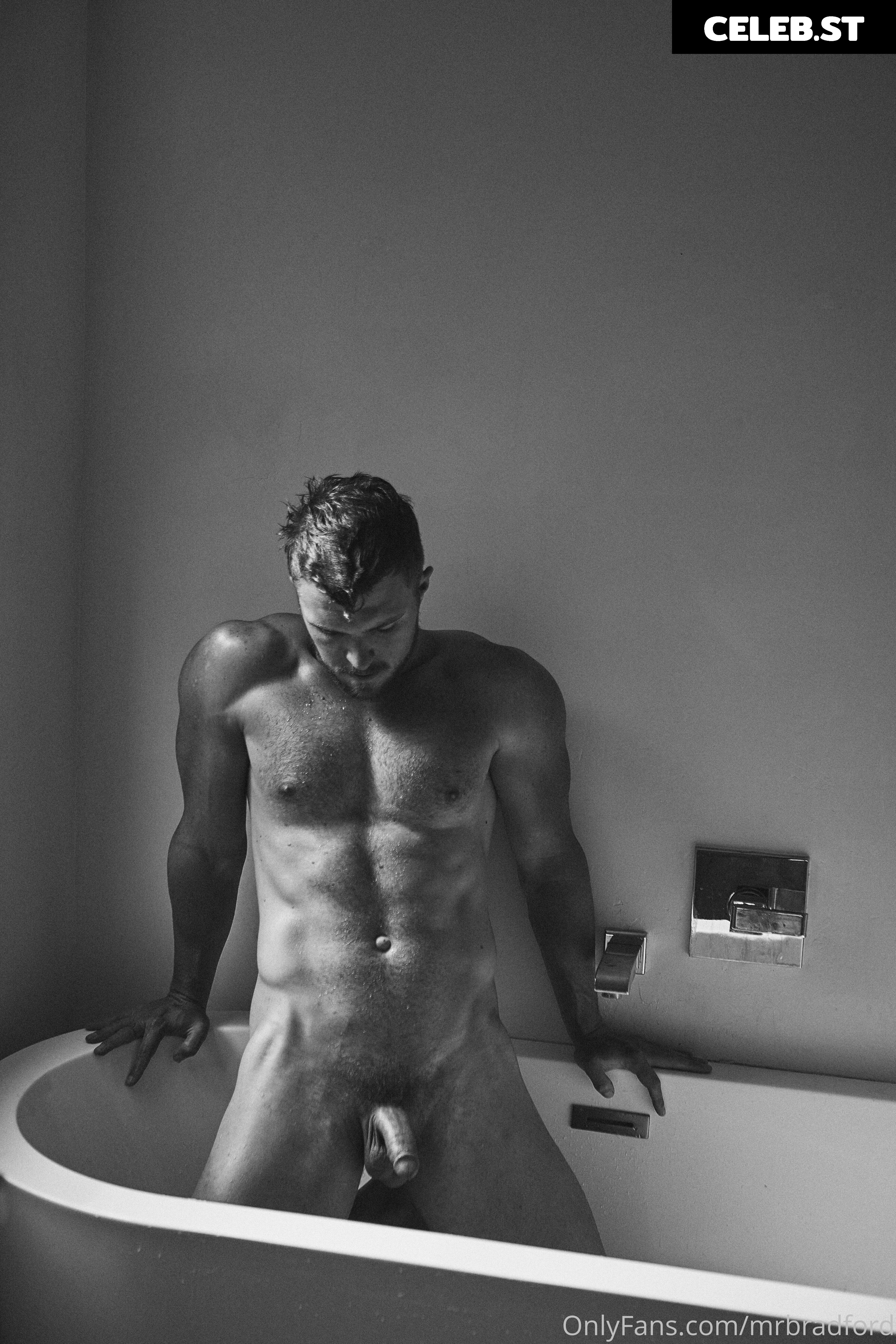 mrbradford Image 16259483
