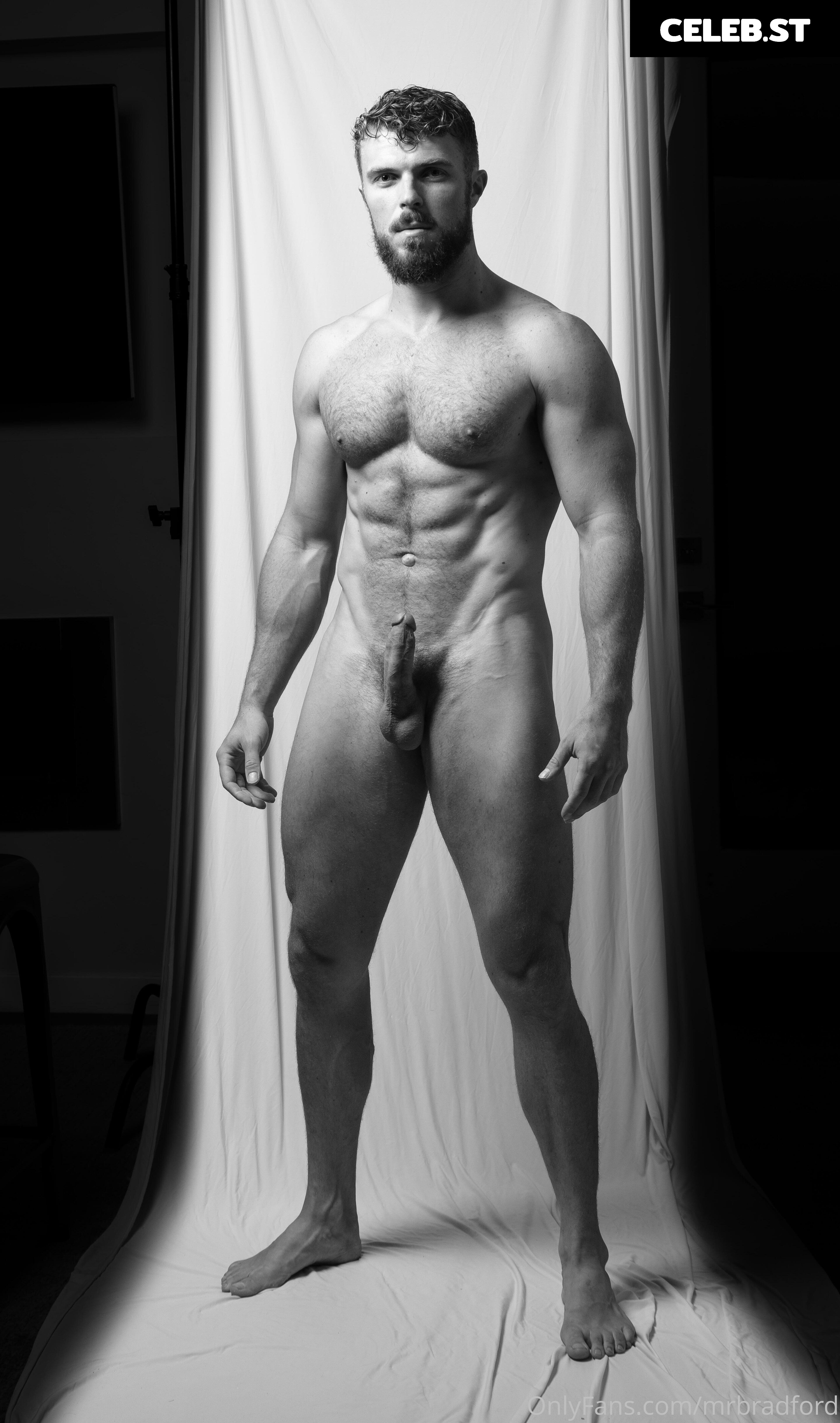 mrbradford Image 16259634