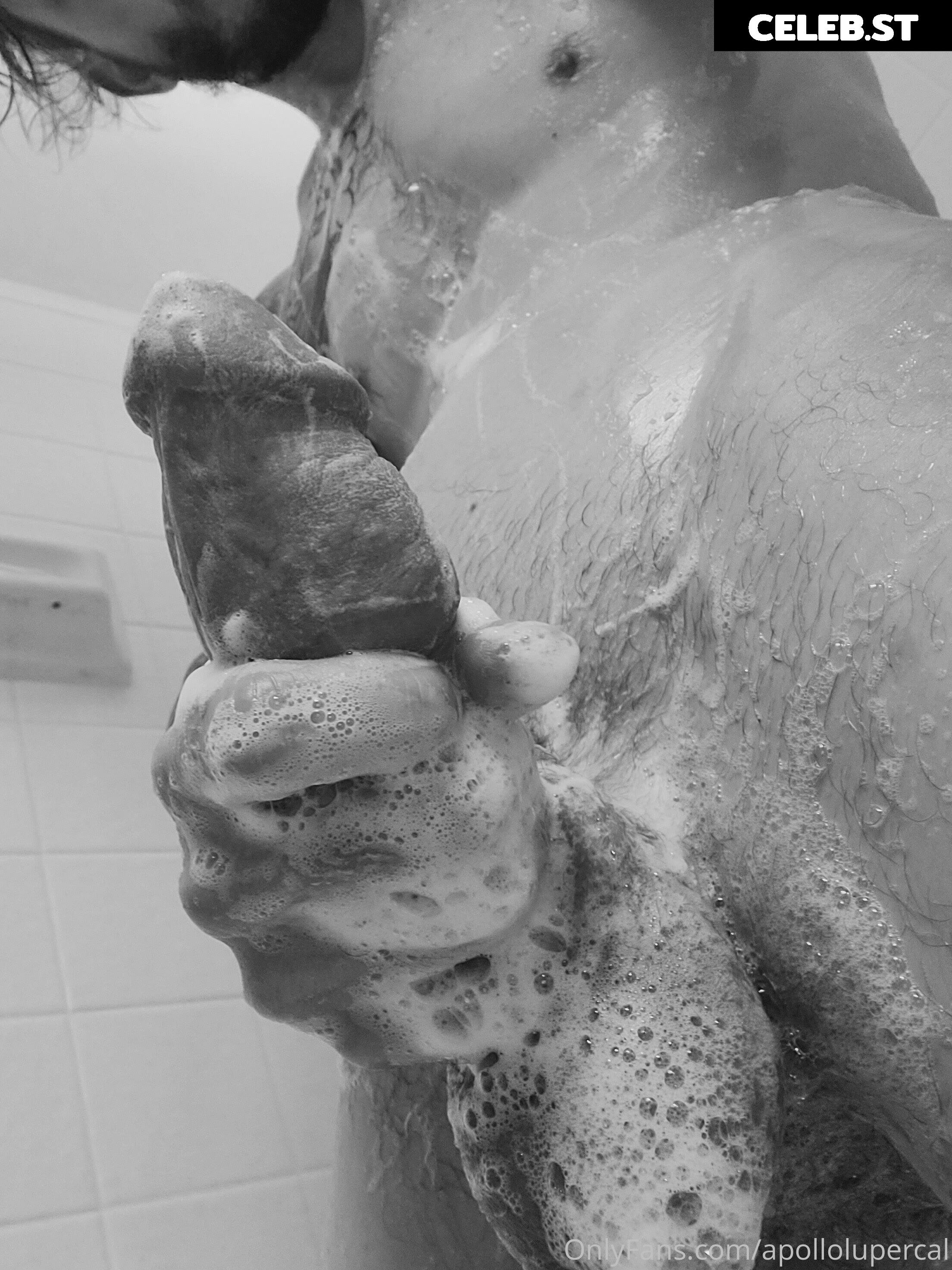 apollolupercal Image 16299379