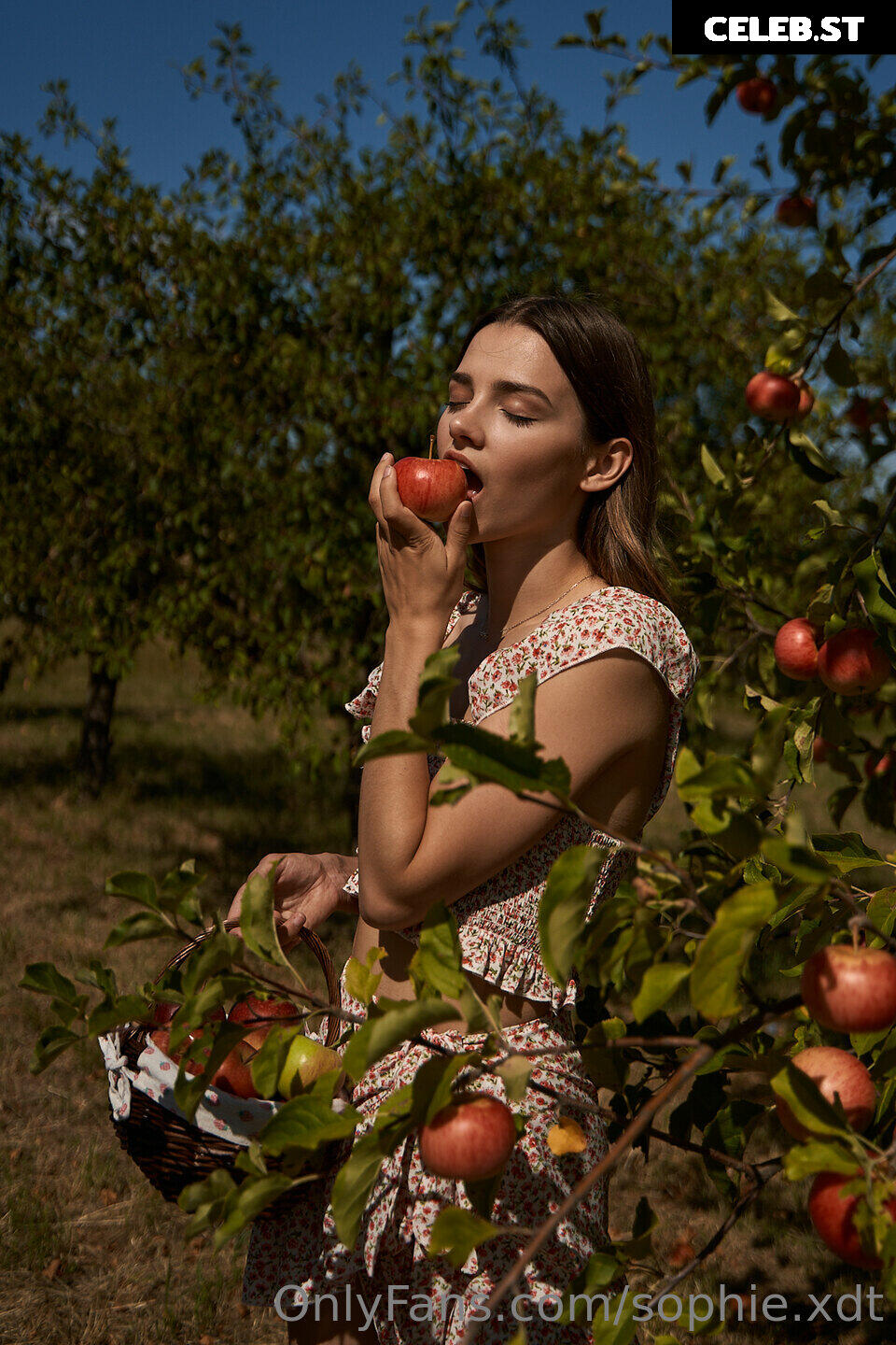Sophie.xdt Image 1605620