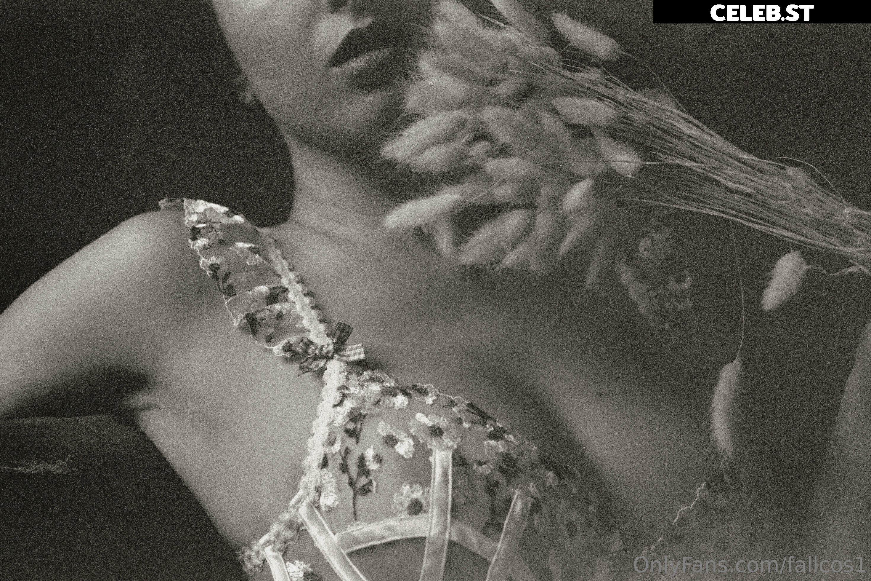 fallcos1 Image 1786049