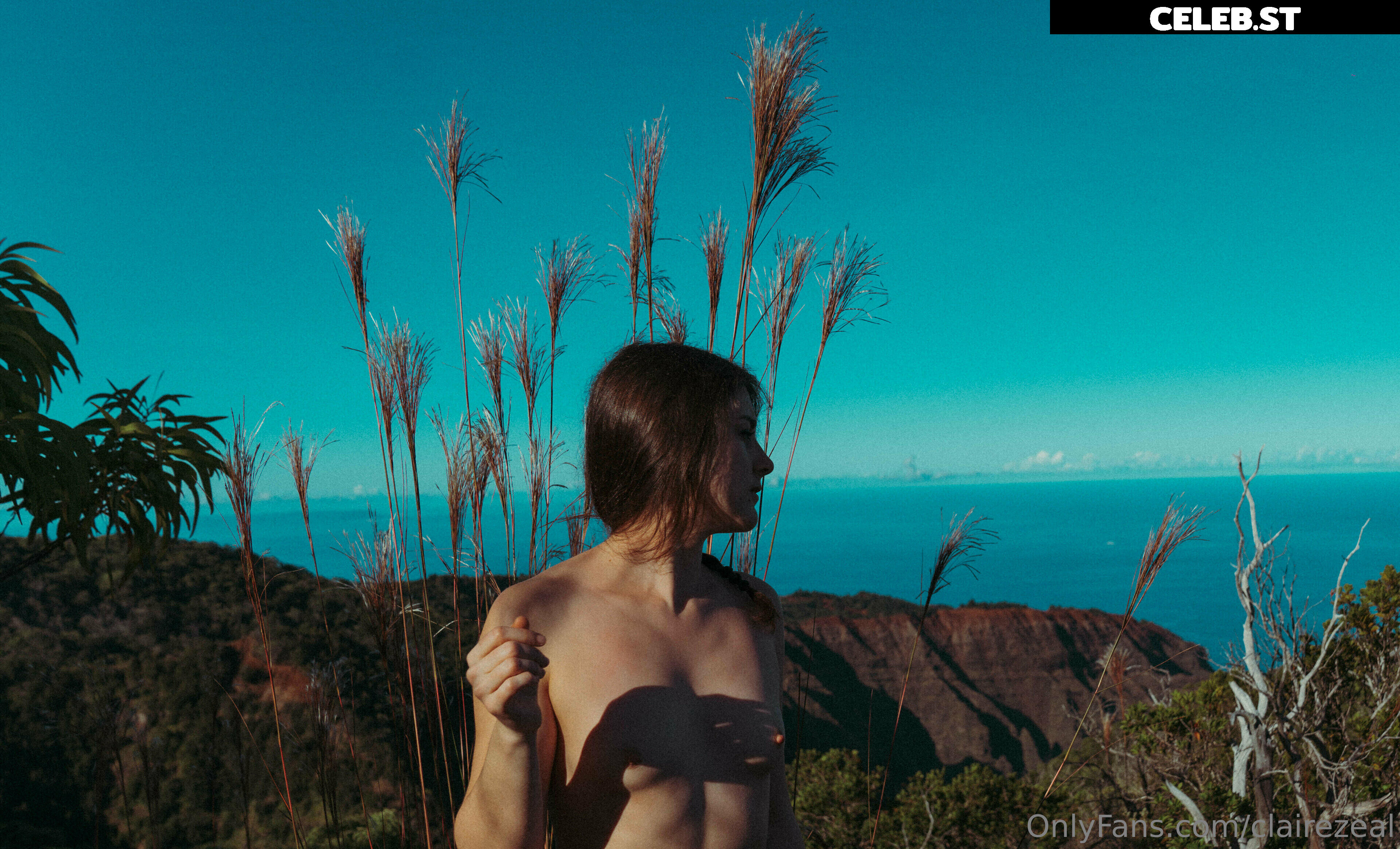 Claire Zeal Image 1787812