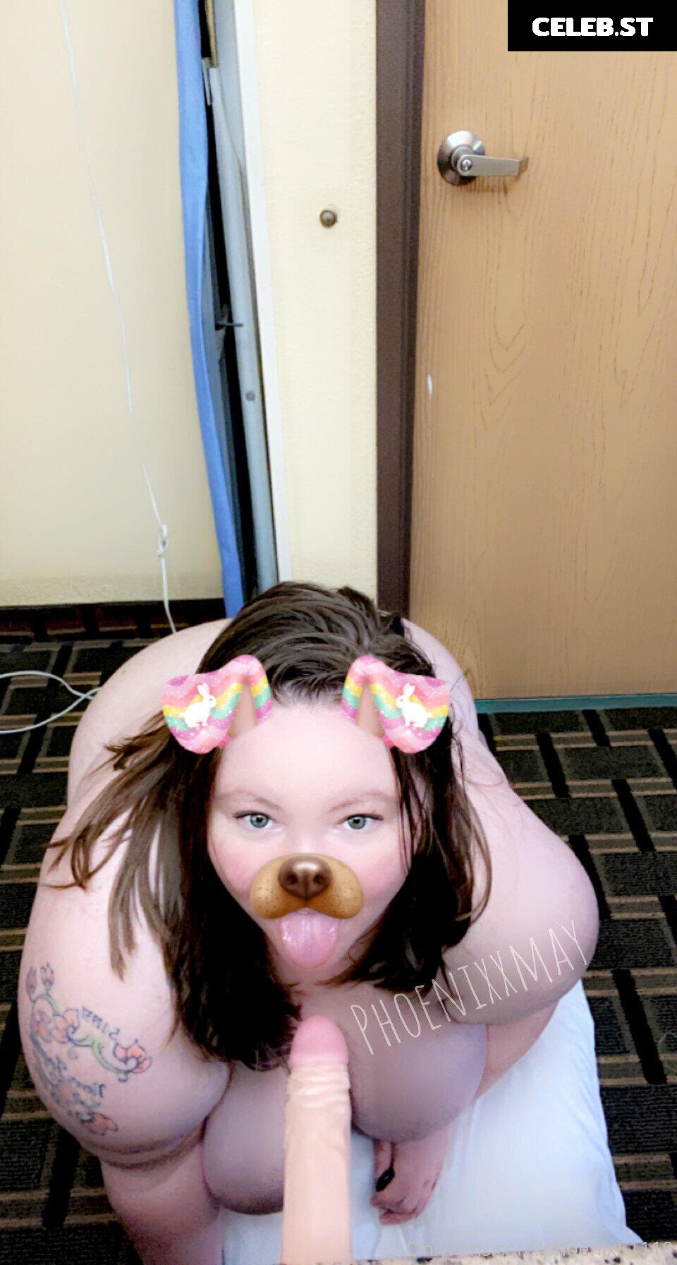 phoenix51119 Image 17825191