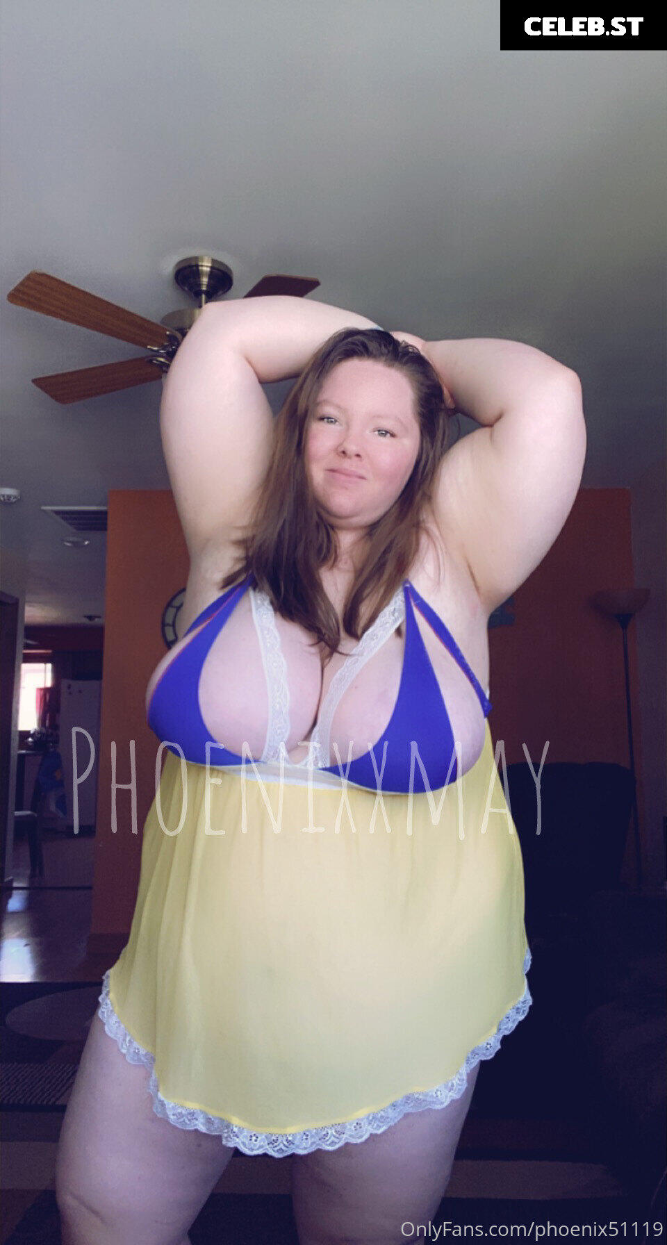 phoenix51119 Image 17825151