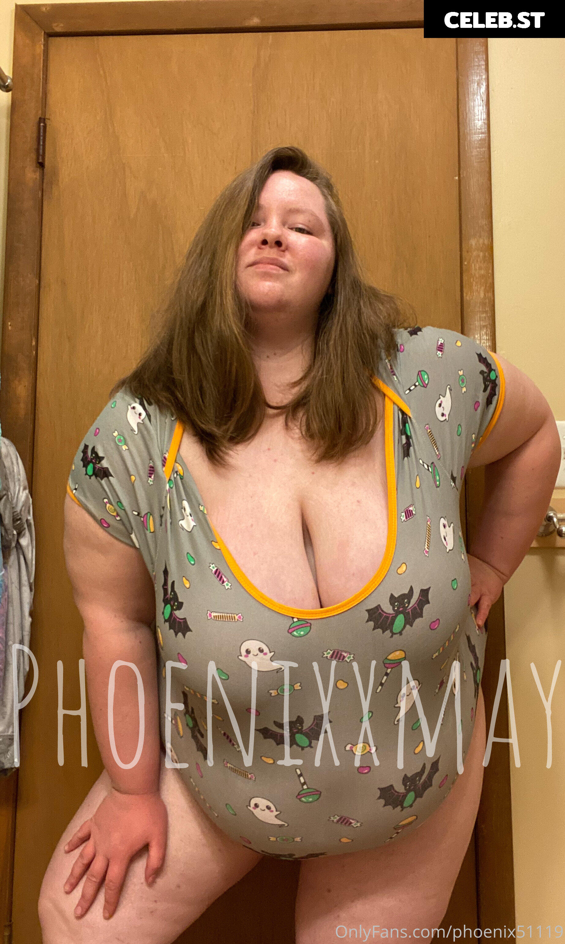 phoenix51119 Image 17825223