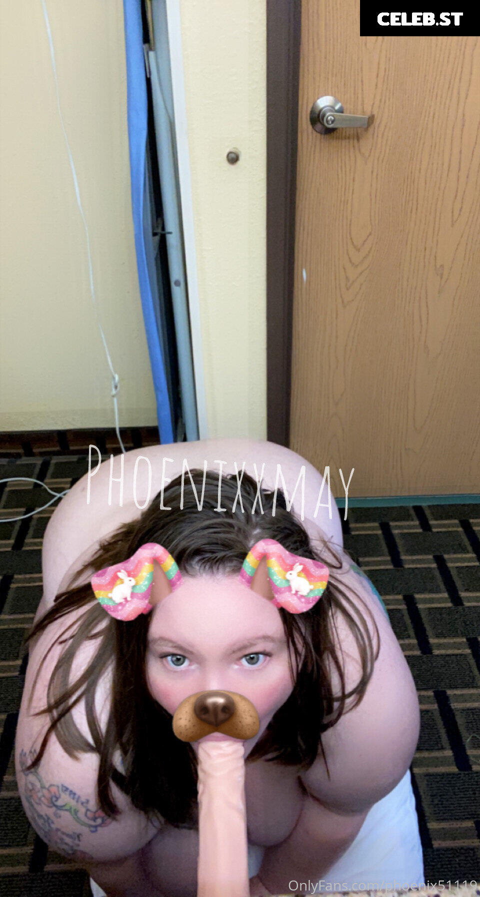phoenix51119 Image 17825225