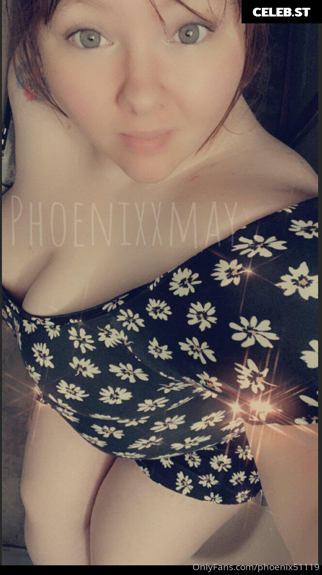 phoenix51119 Image 17835131