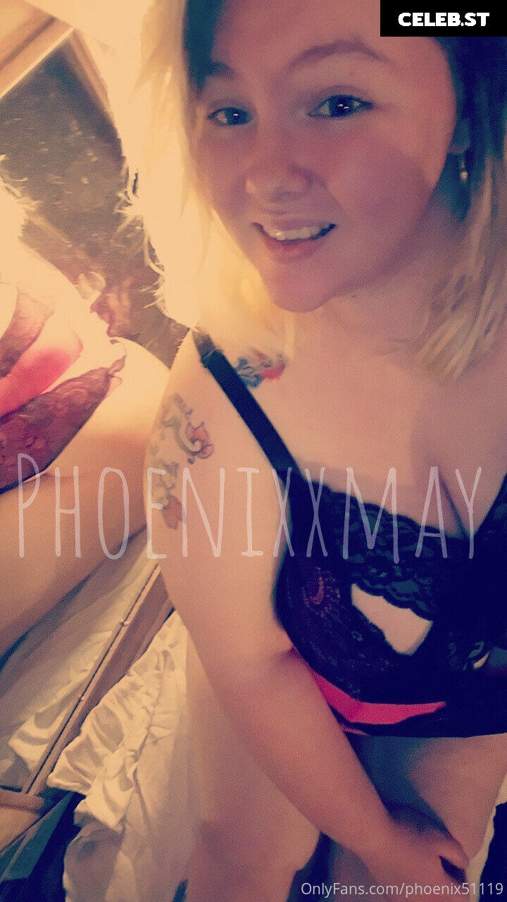 phoenix51119 Image 17834527