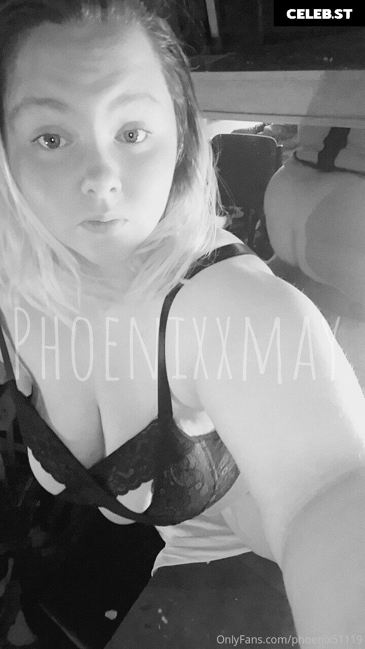 phoenix51119 Image 17834468