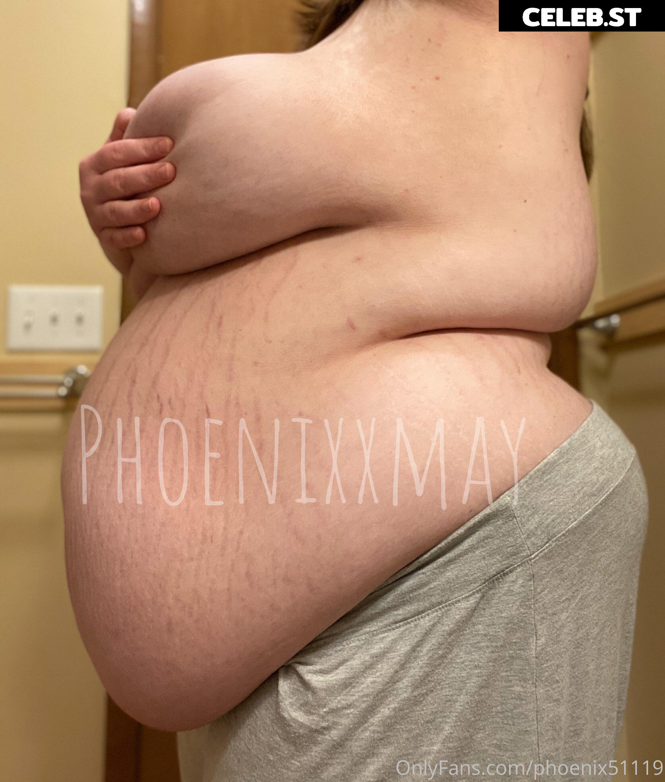 phoenix51119 Image 17834327