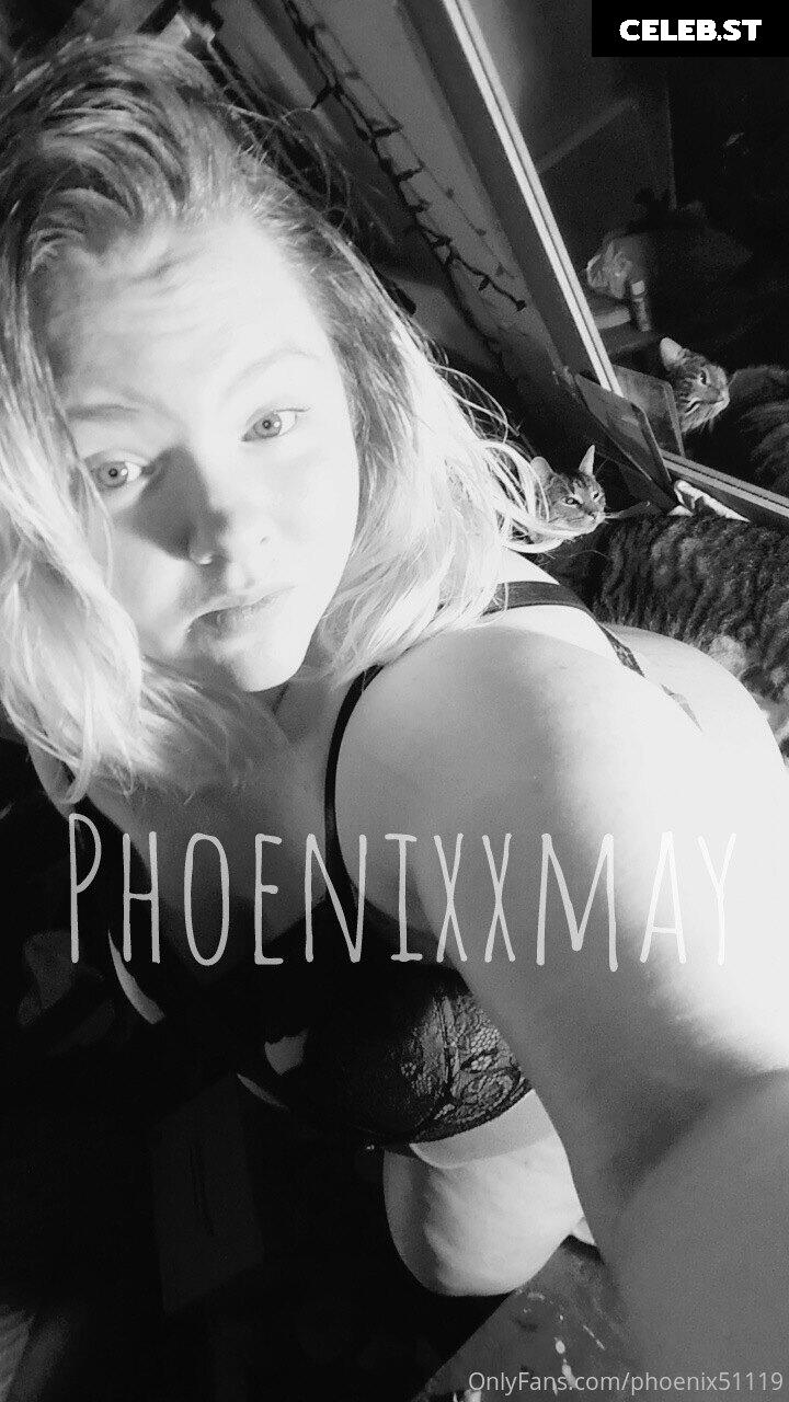phoenix51119 Image 17834374