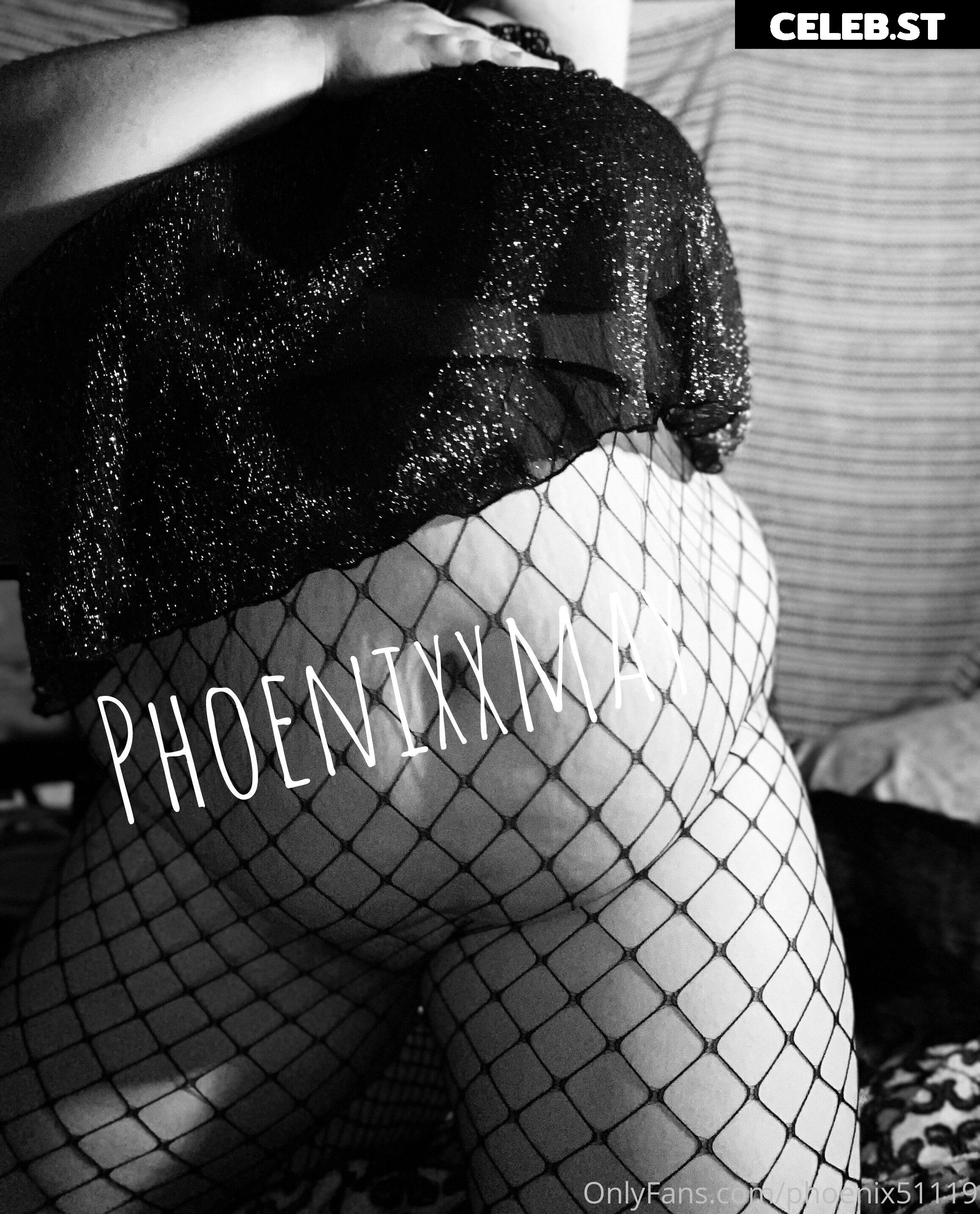 phoenix51119 Image 17834260