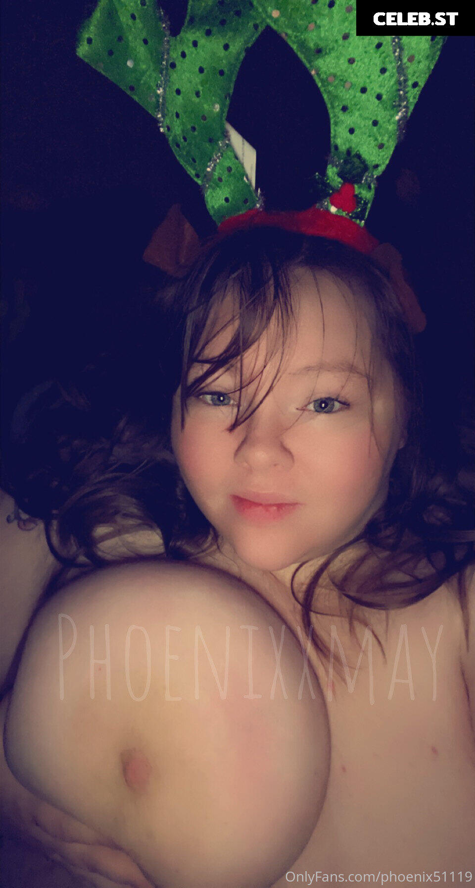 phoenix51119 Image 17834276