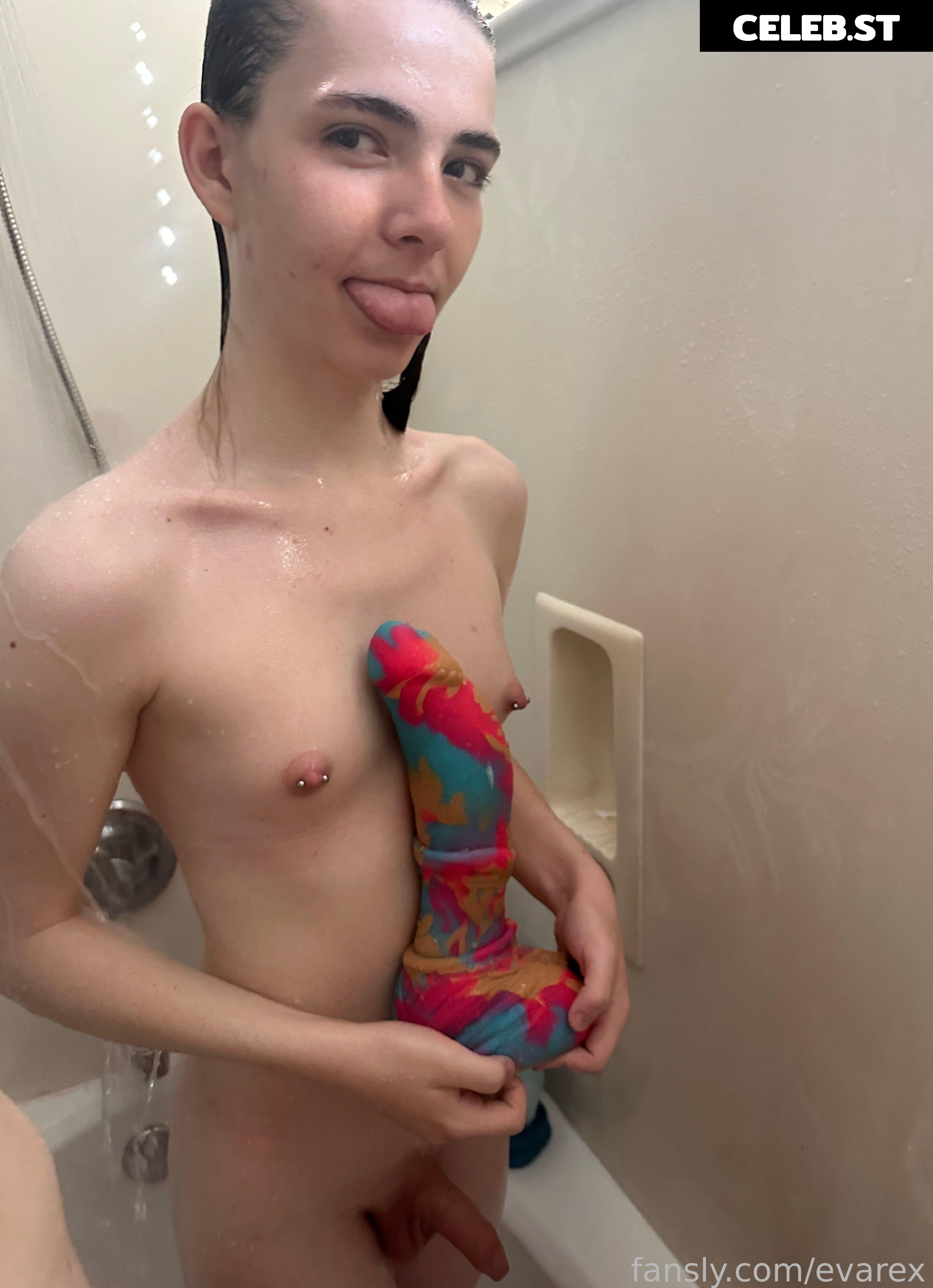 evarex Image 17889168