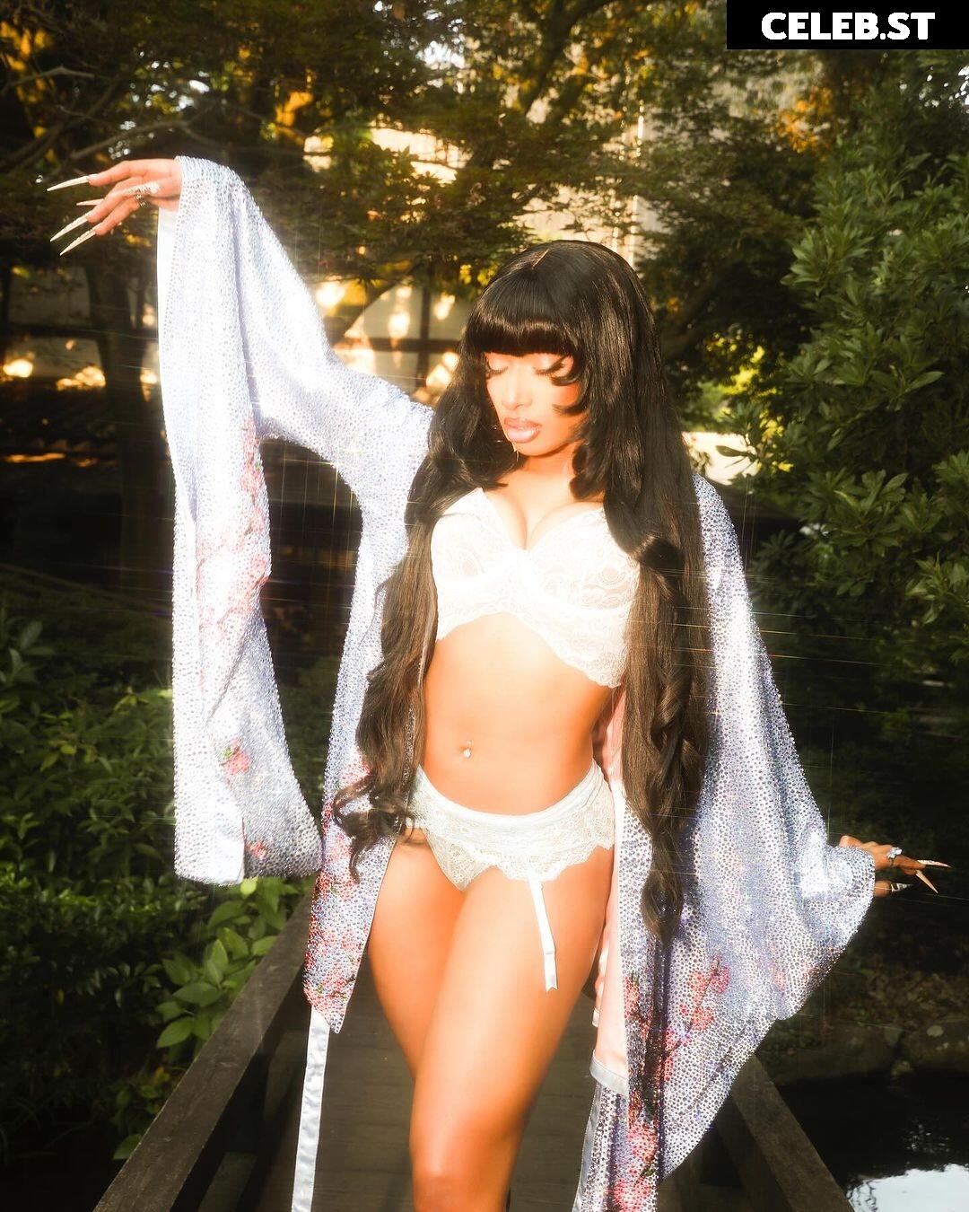 Megan thee stallion Image 1772327