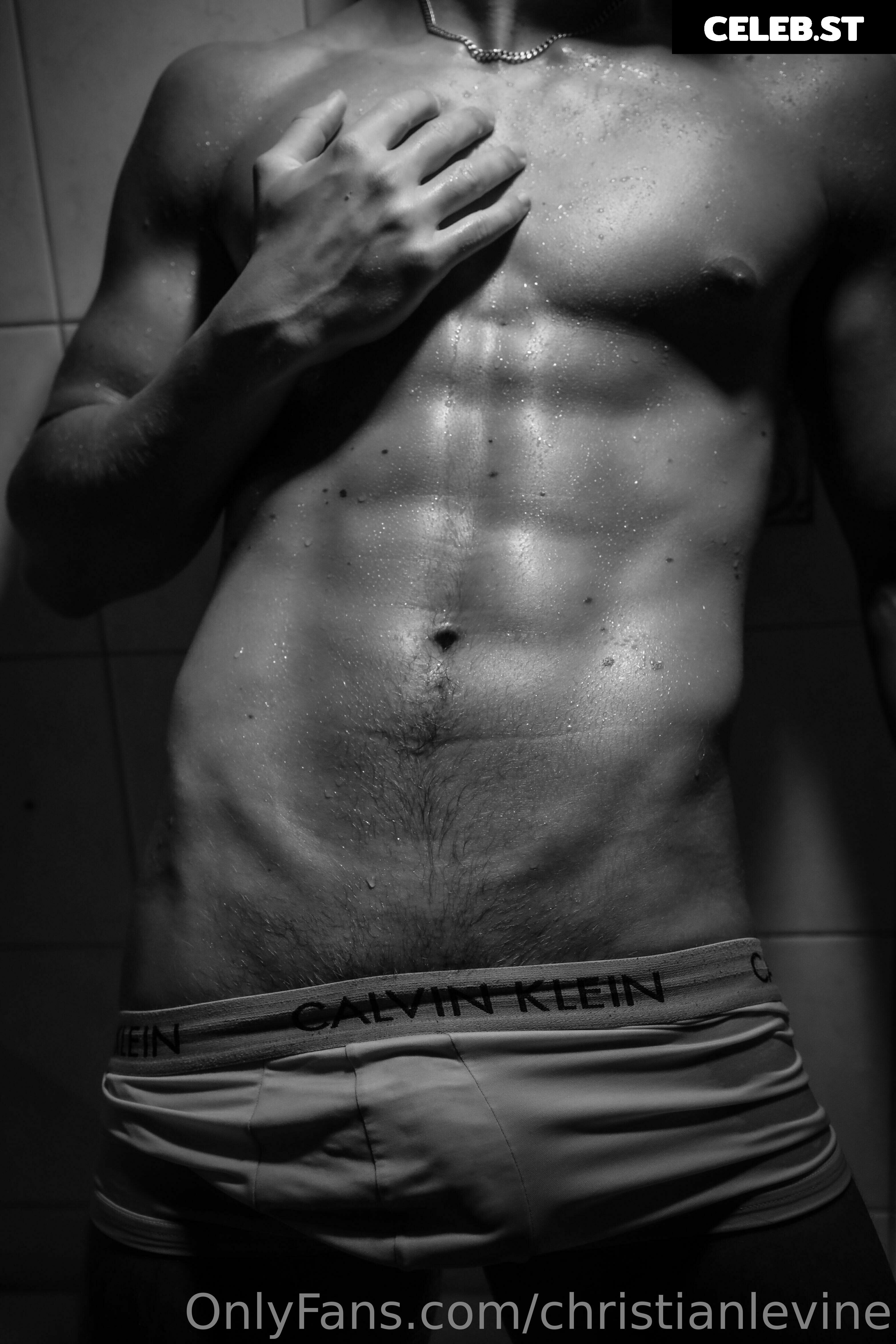 christianlevine Image 17731850